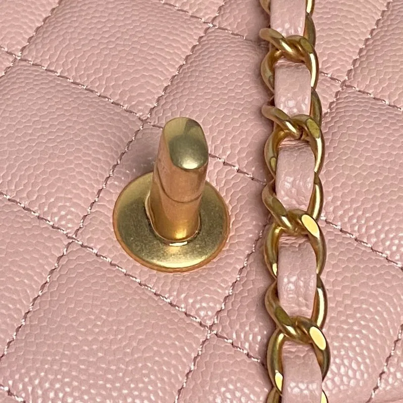 Women's Classic Handbags CHANEL 17364569