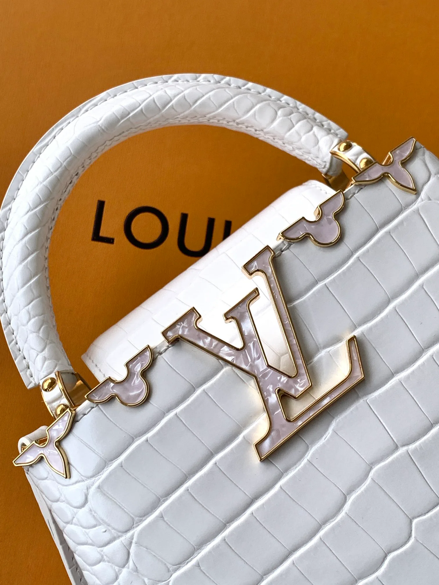 Women's Classic Handbags LOUIS VUITTON 18520923