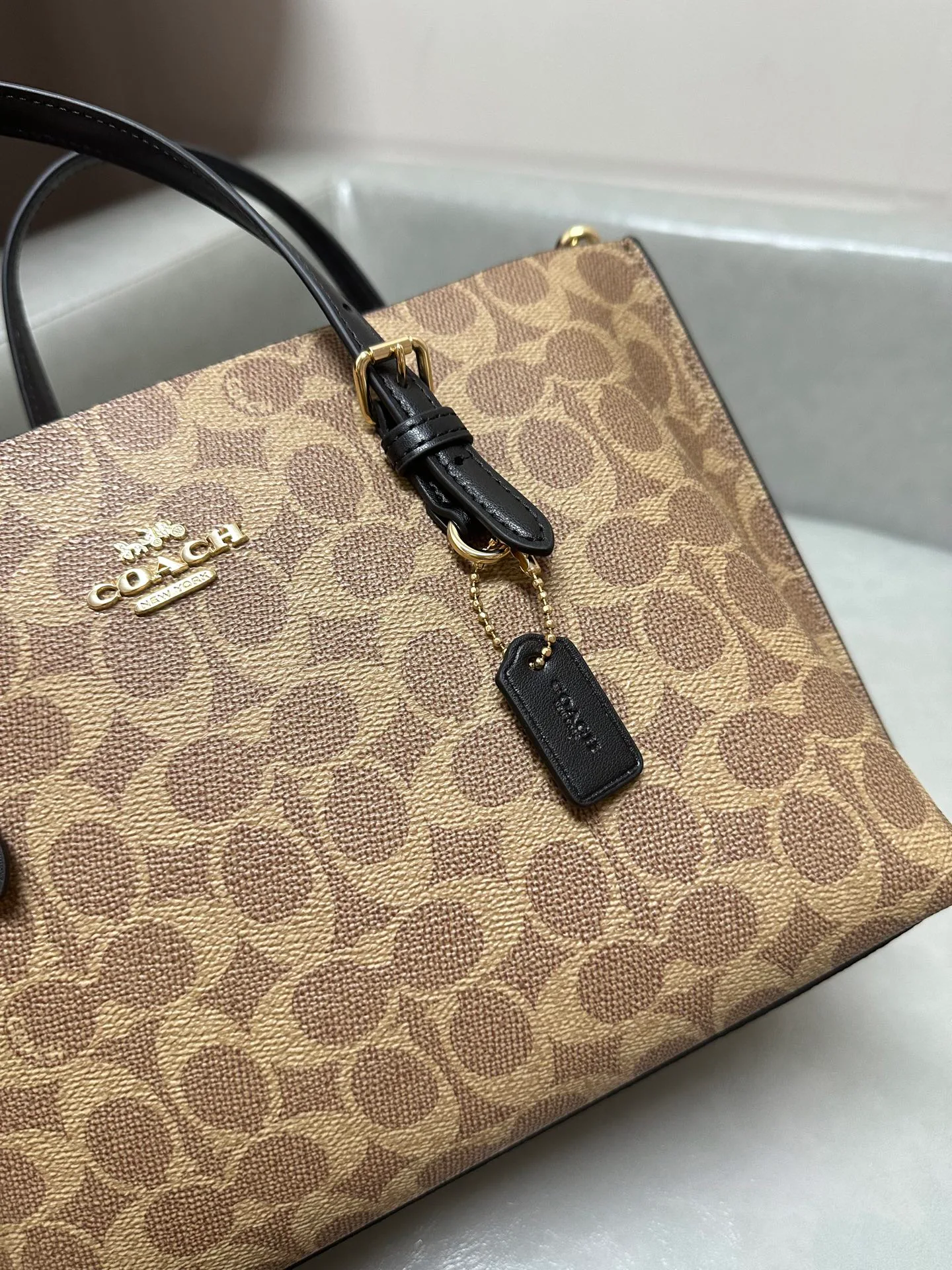 Women's Classic Handbags COACH 17961066