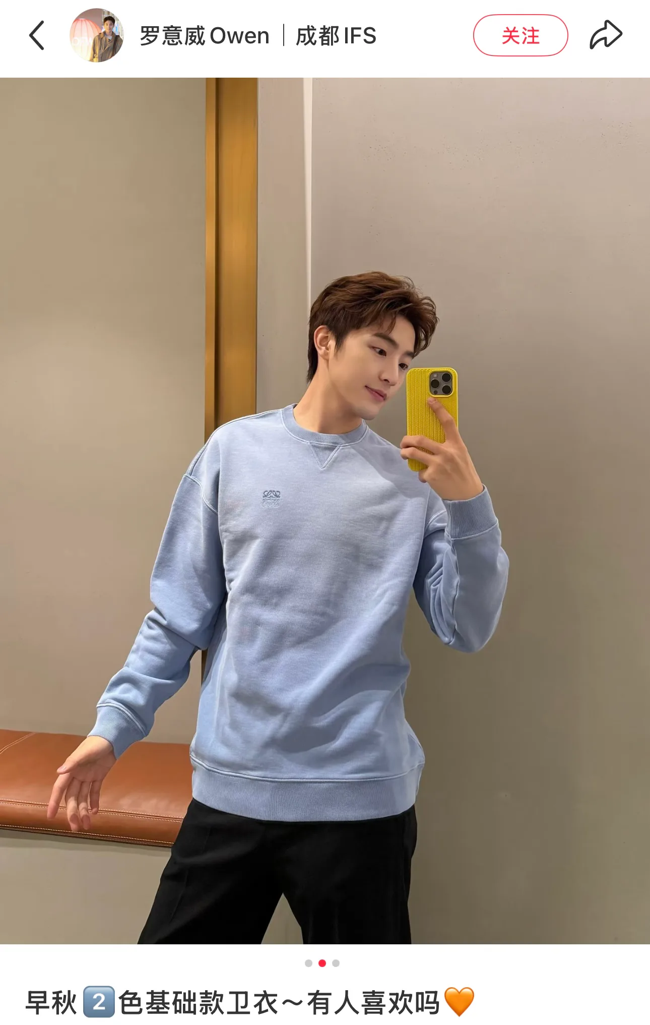 Men's Sweatshirts And Hoodies LOEWE 17801836
