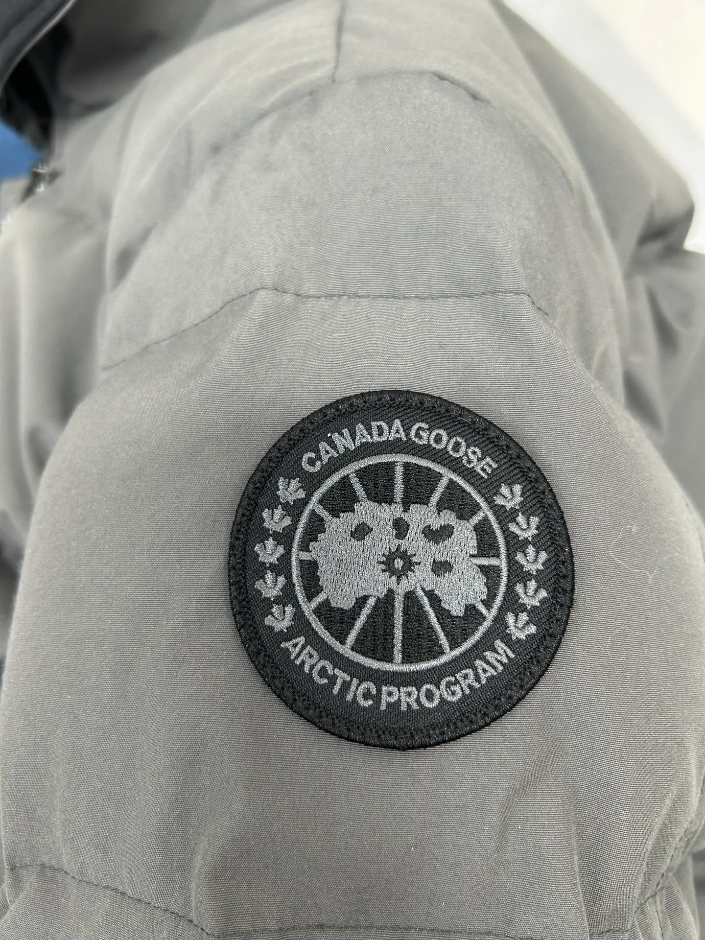 Women's Jackets And Down Jackets CANADA GOOSE 18188608