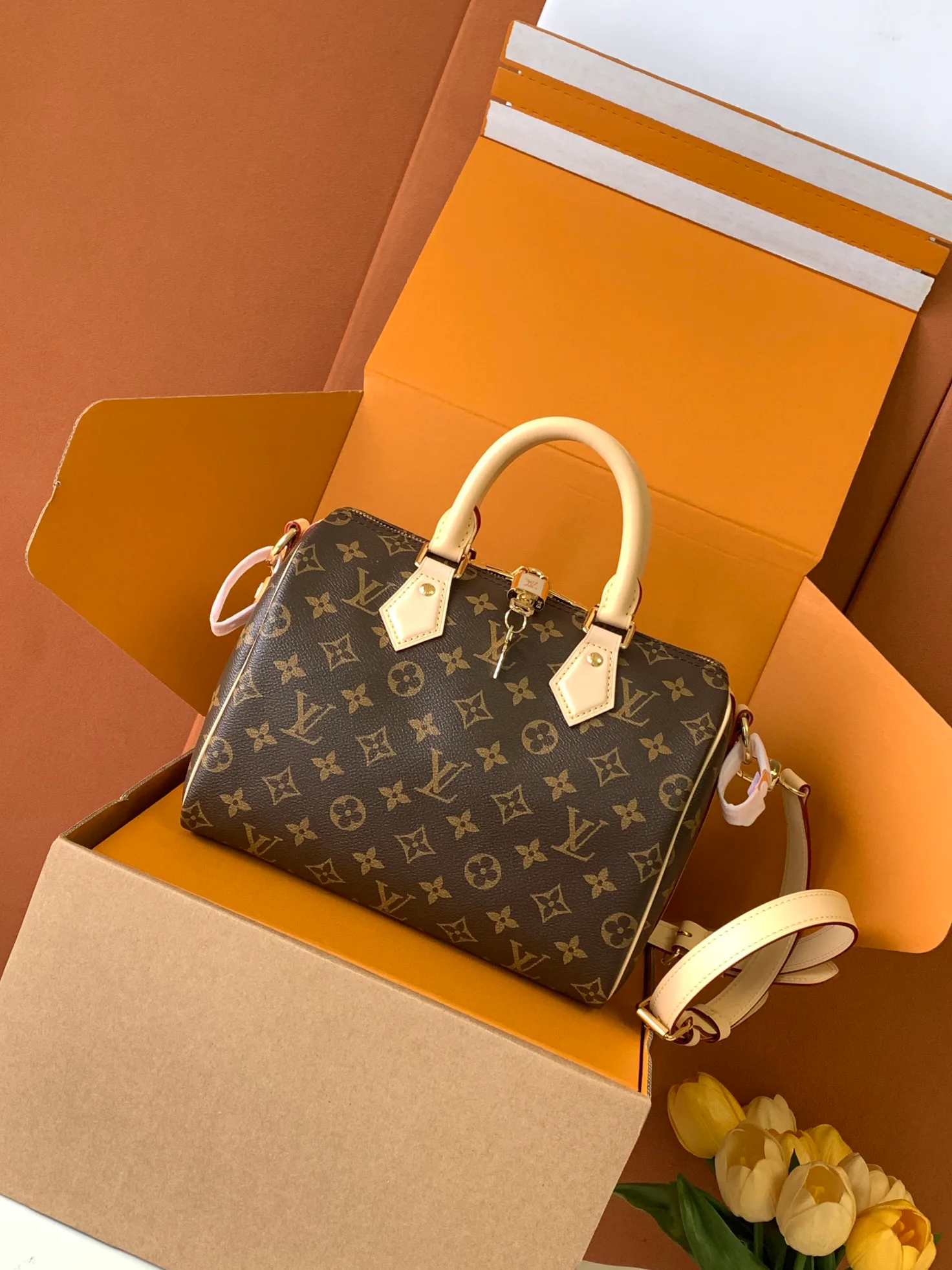 Women's Classic Handbags LOUIS VUITTON 18156568