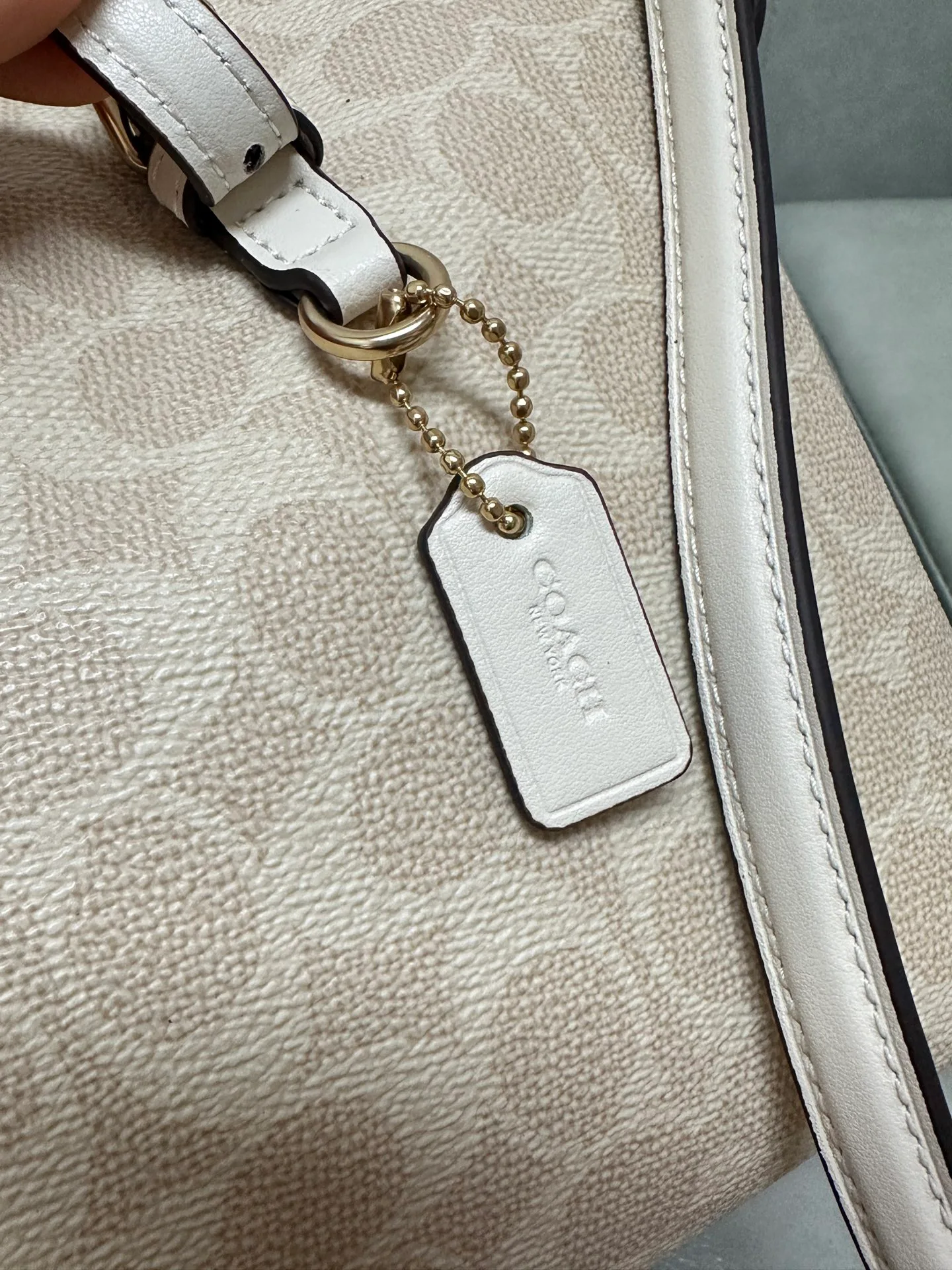 Women's Classic Handbags COACH 17961063