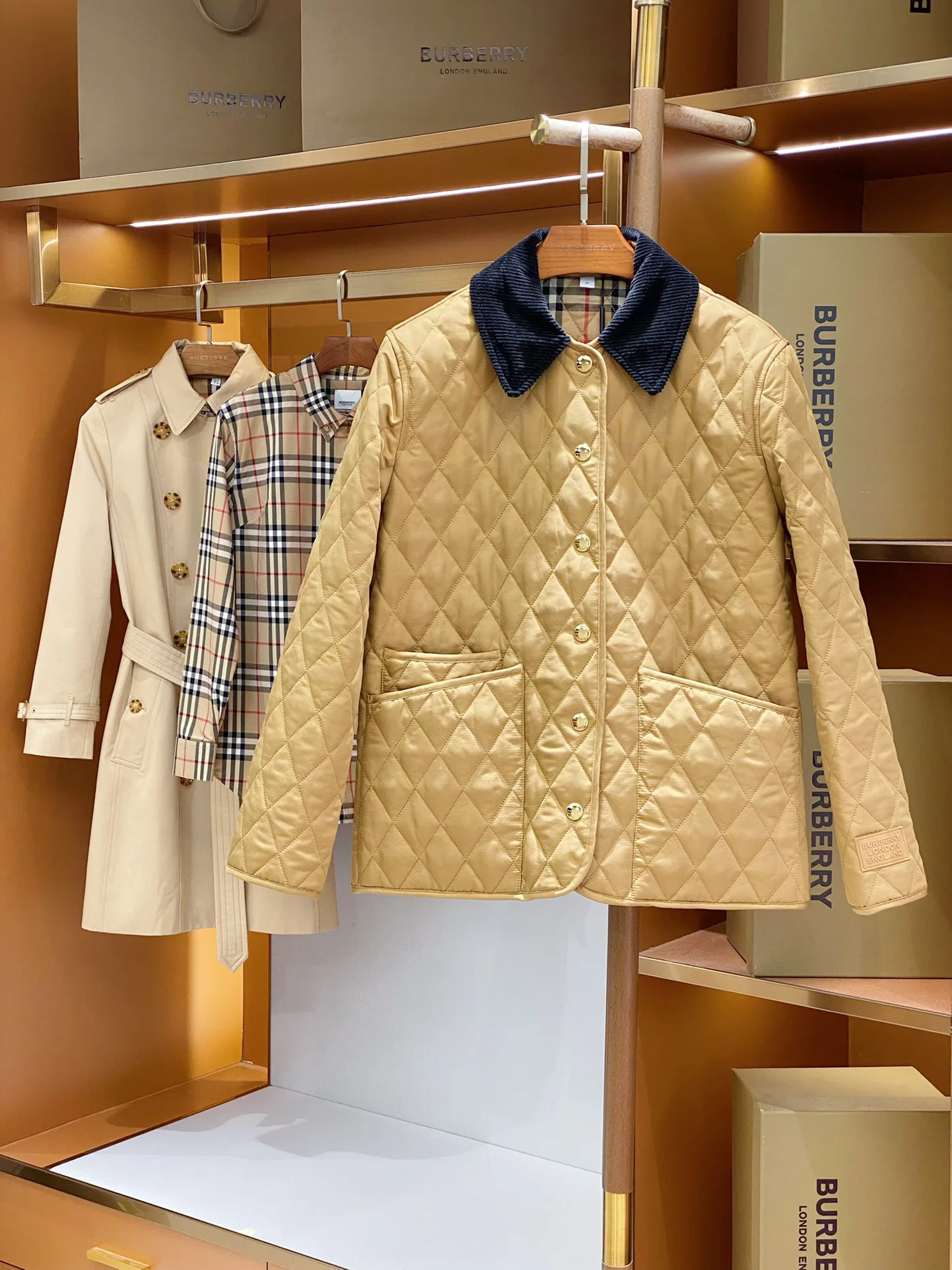 Women's Jackets And Down Jackets BURBERRY 18555682