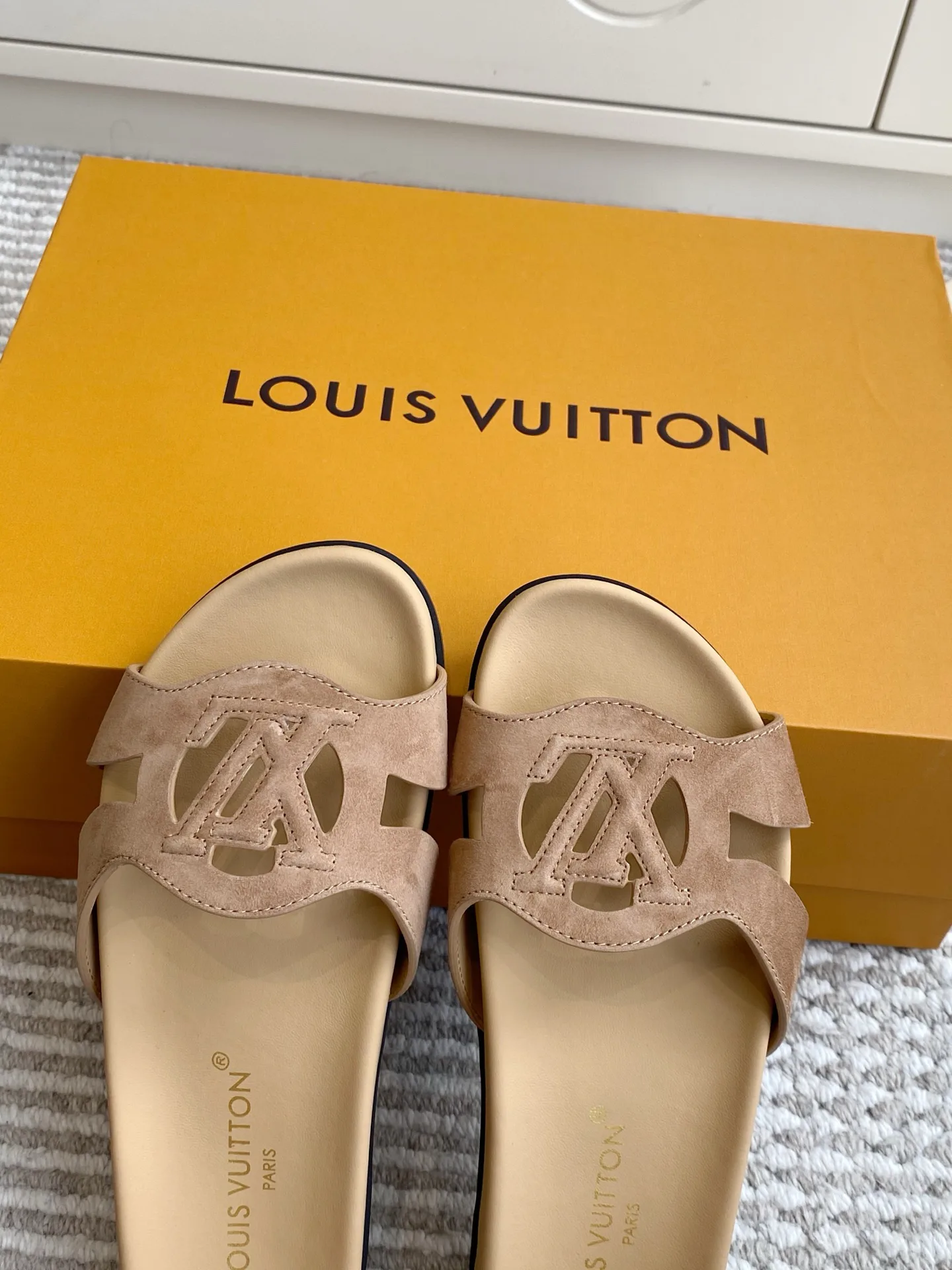 Women's Flip-Flops LOUIS VUITTON 17572144