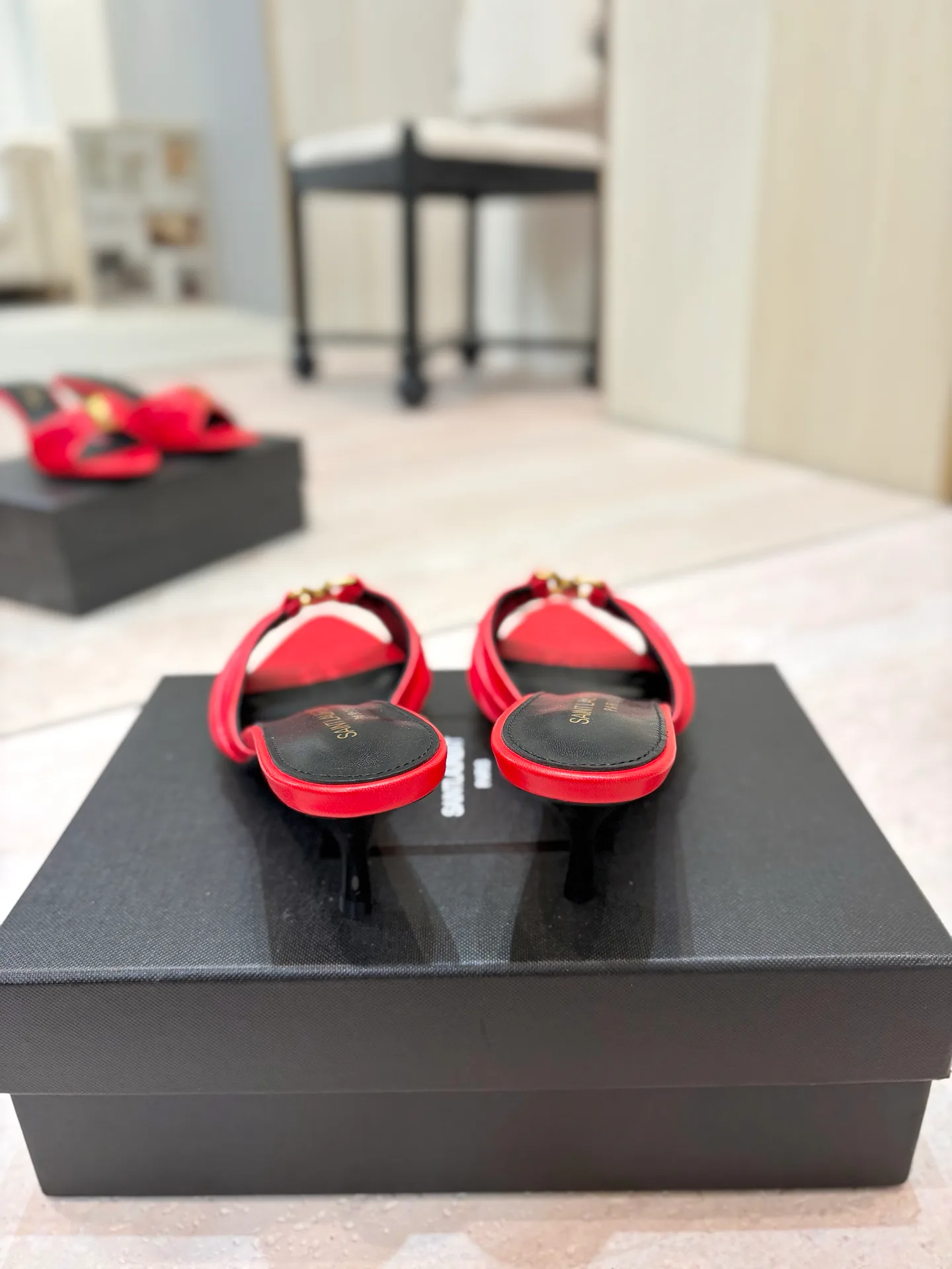 Women's Mules And Clogs SAINT LAURENT 17476038