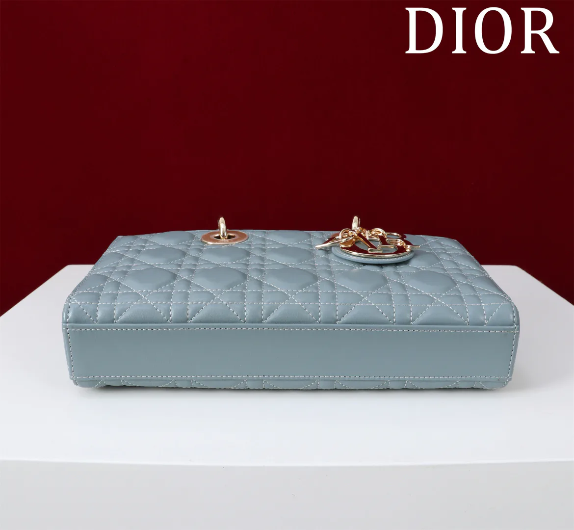 Women's Classic Handbags CHRISTIAN DIOR 18393001