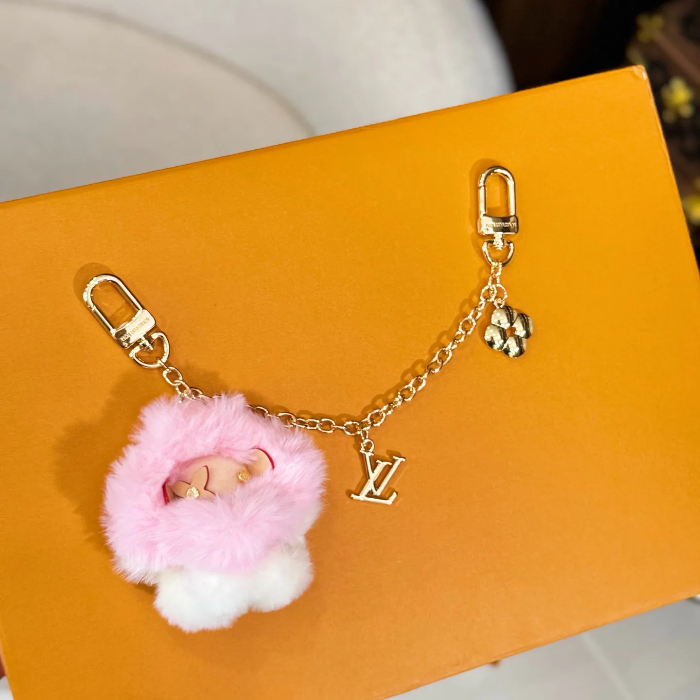 Key Cases LOUIS VUITTON 18225905