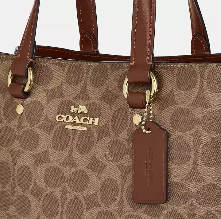 Women's Classic Handbags COACH 17960954
