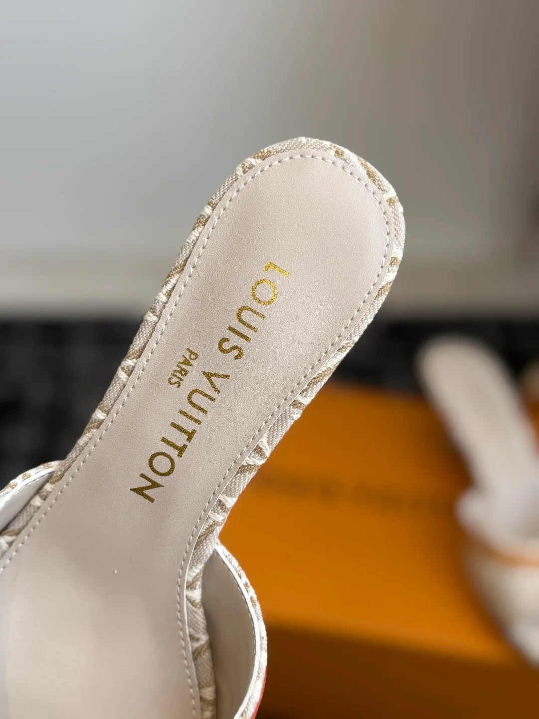Women's Mules And Clogs LOUIS VUITTON 17615644