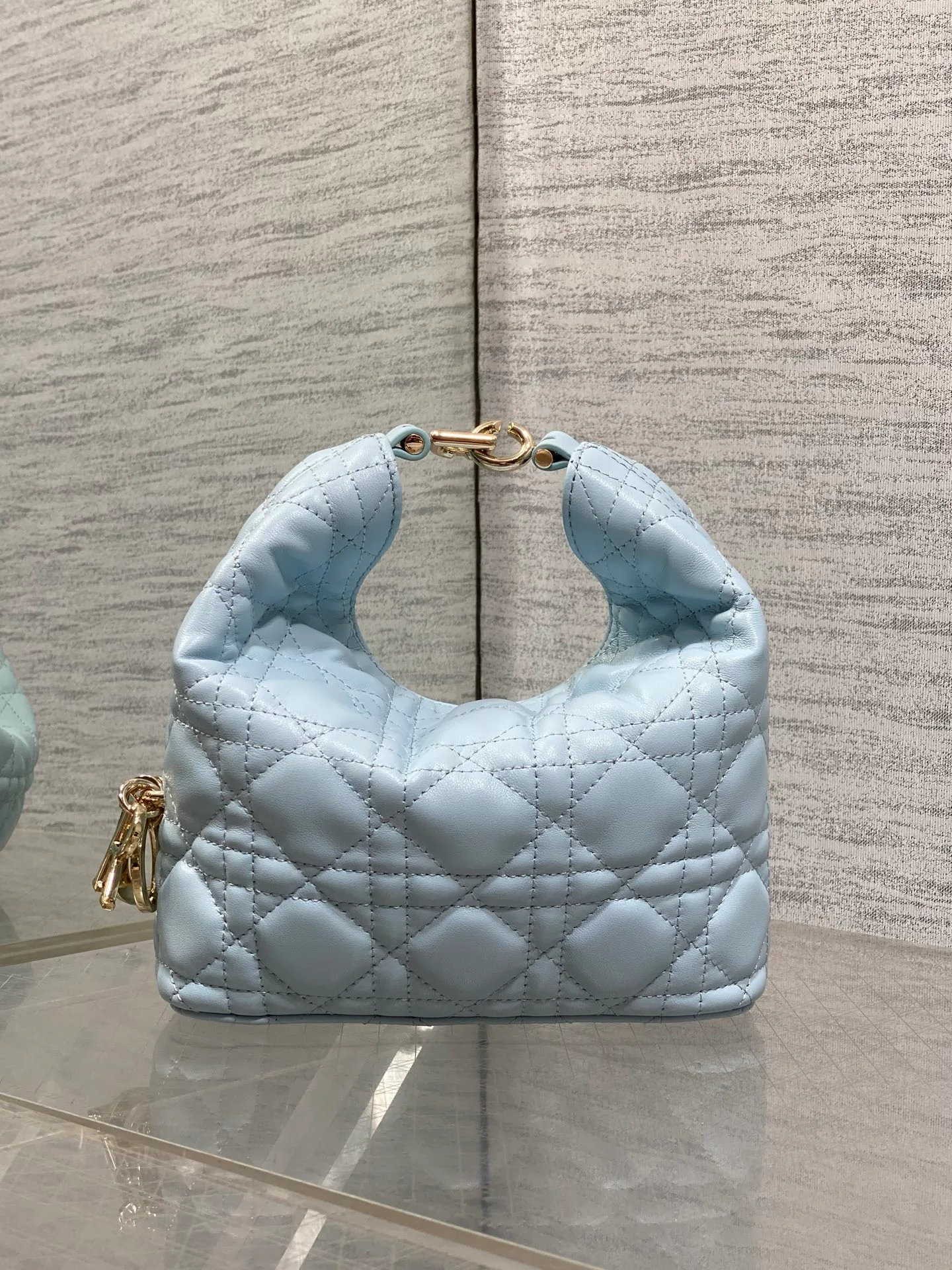 Women's Classic Handbags CHRISTIAN DIOR 17830922