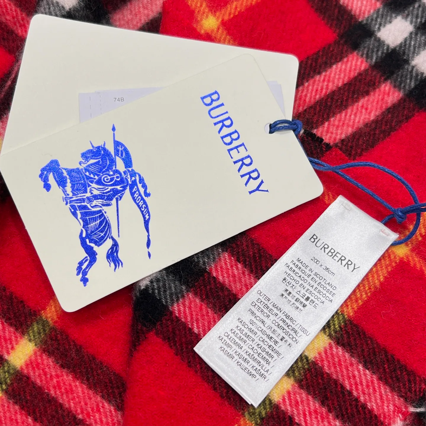 Scarves BURBERRY 17945468