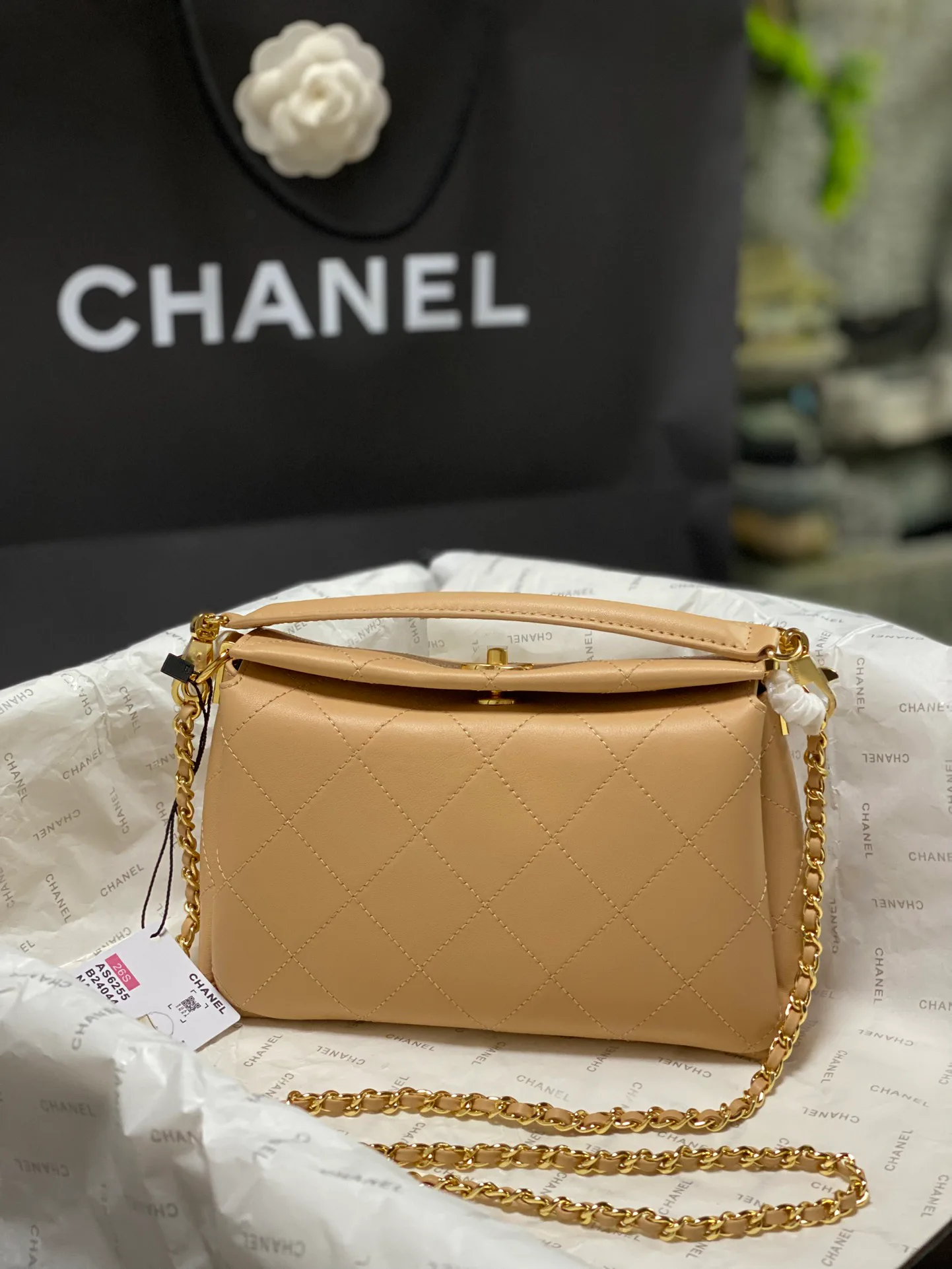 Women's Classic Handbags CHANEL 17904073