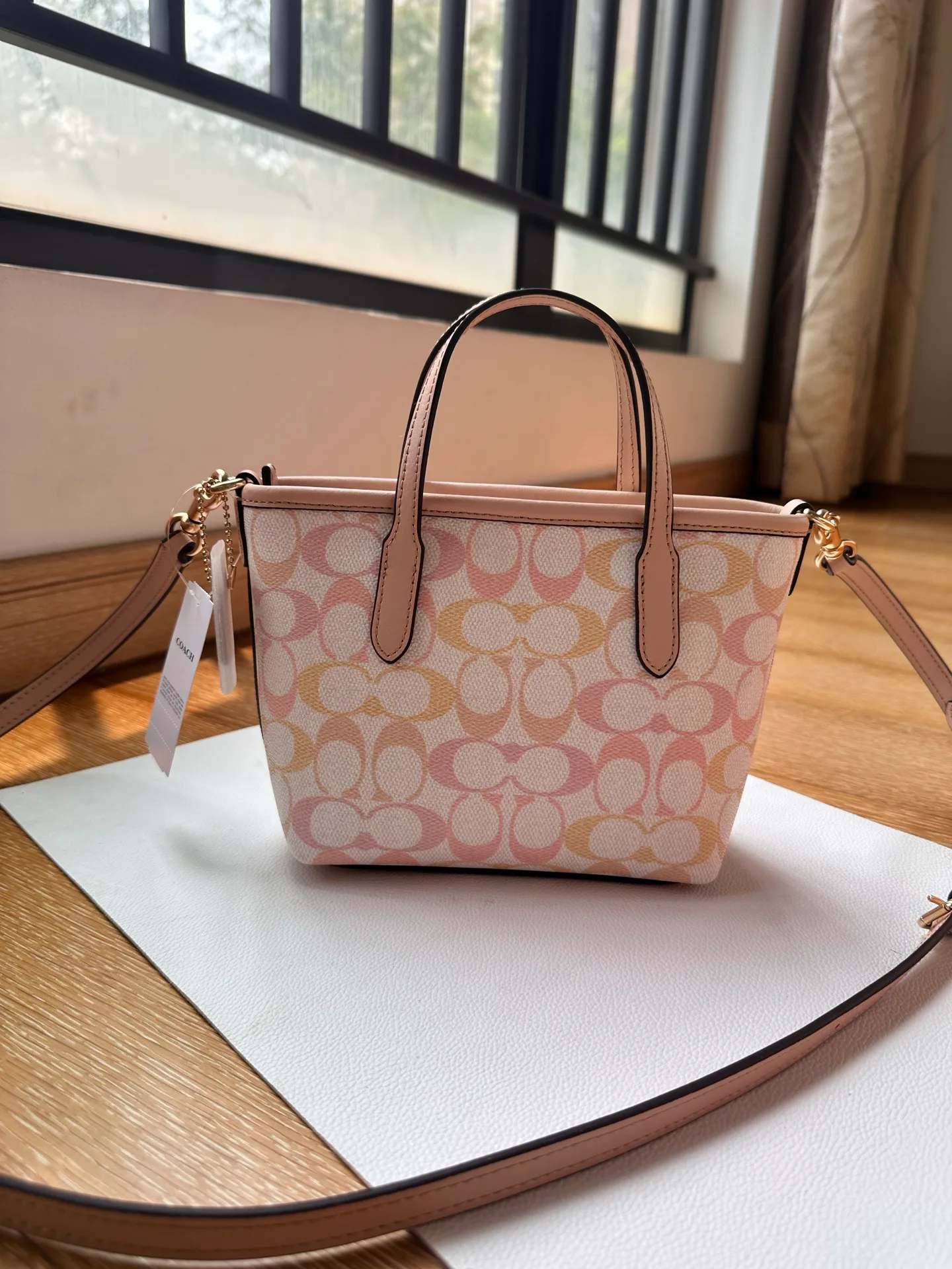 Women's Classic Handbags COACH 17961020