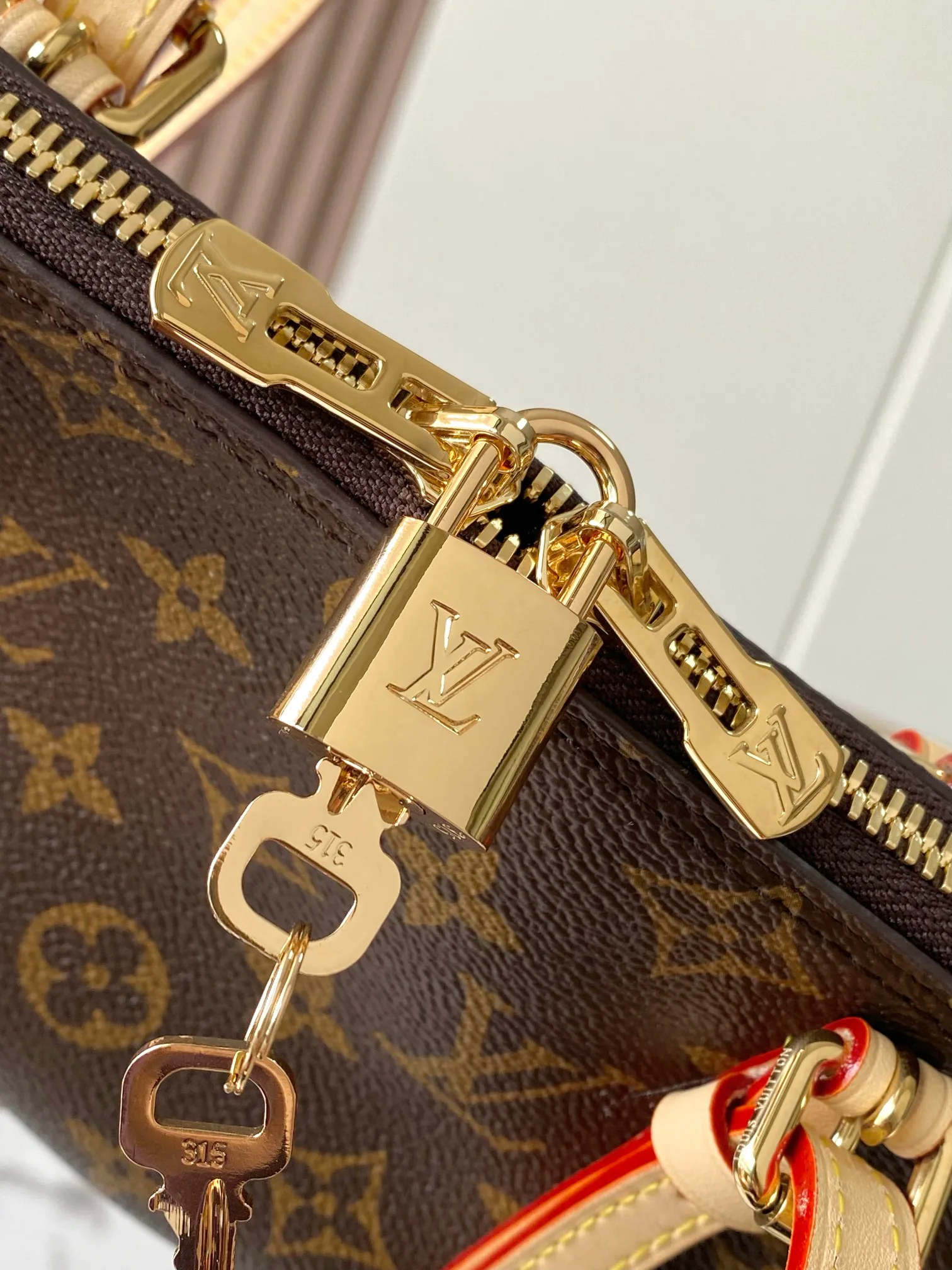 Women's Classic Handbags LOUIS VUITTON 18521066