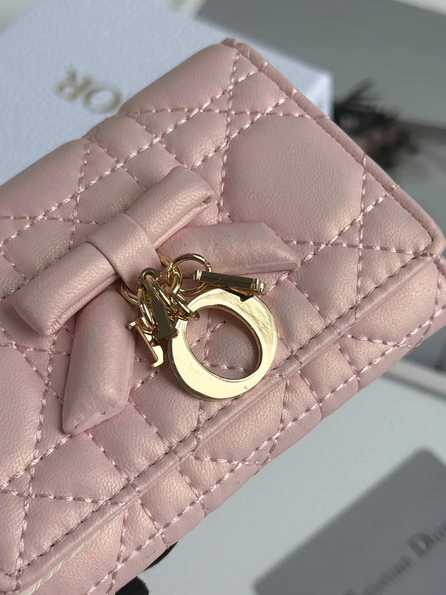 Women's Clutches CHRISTIAN DIOR 17447403