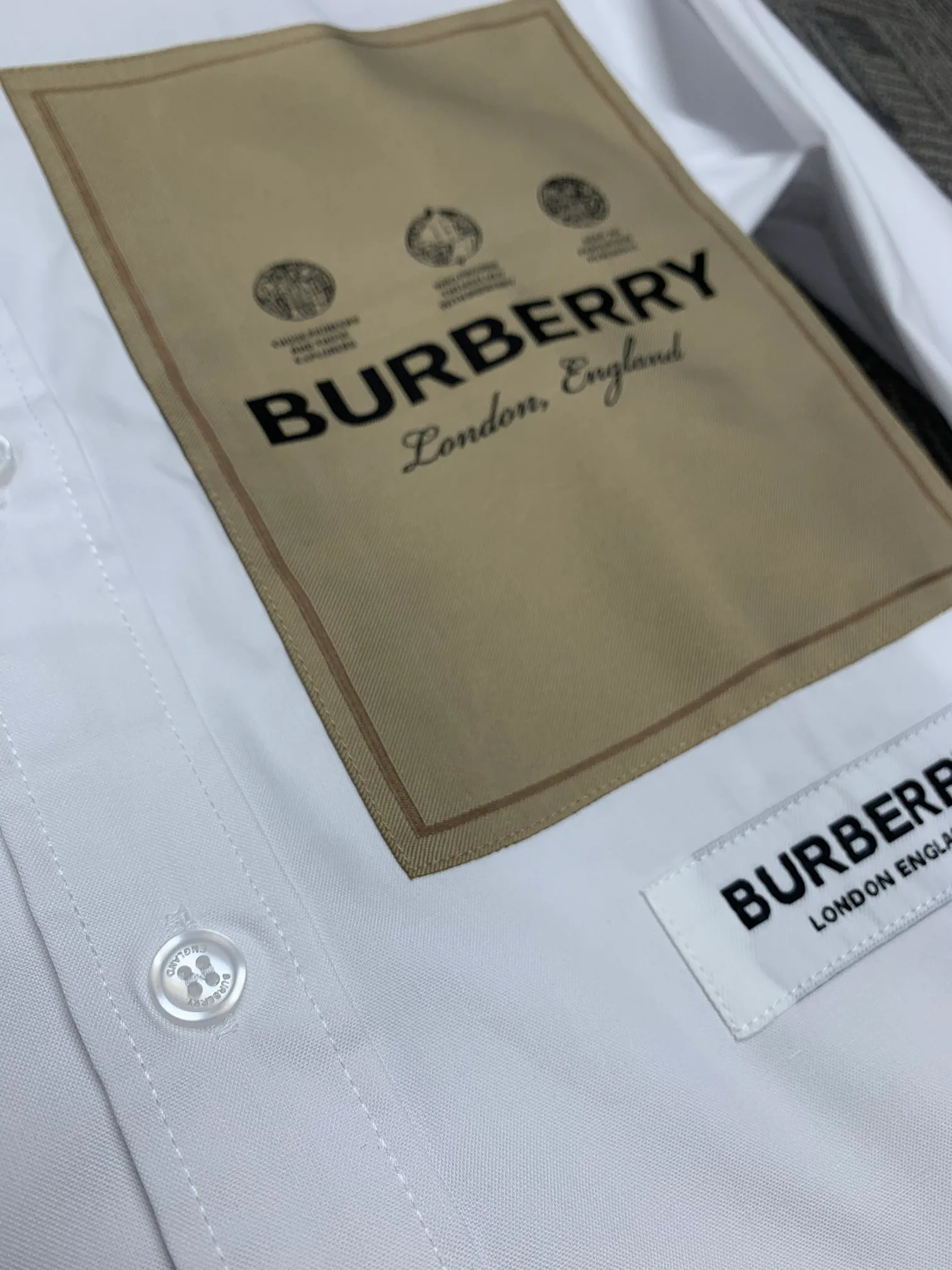Men's Shirts BURBERRY 17967417