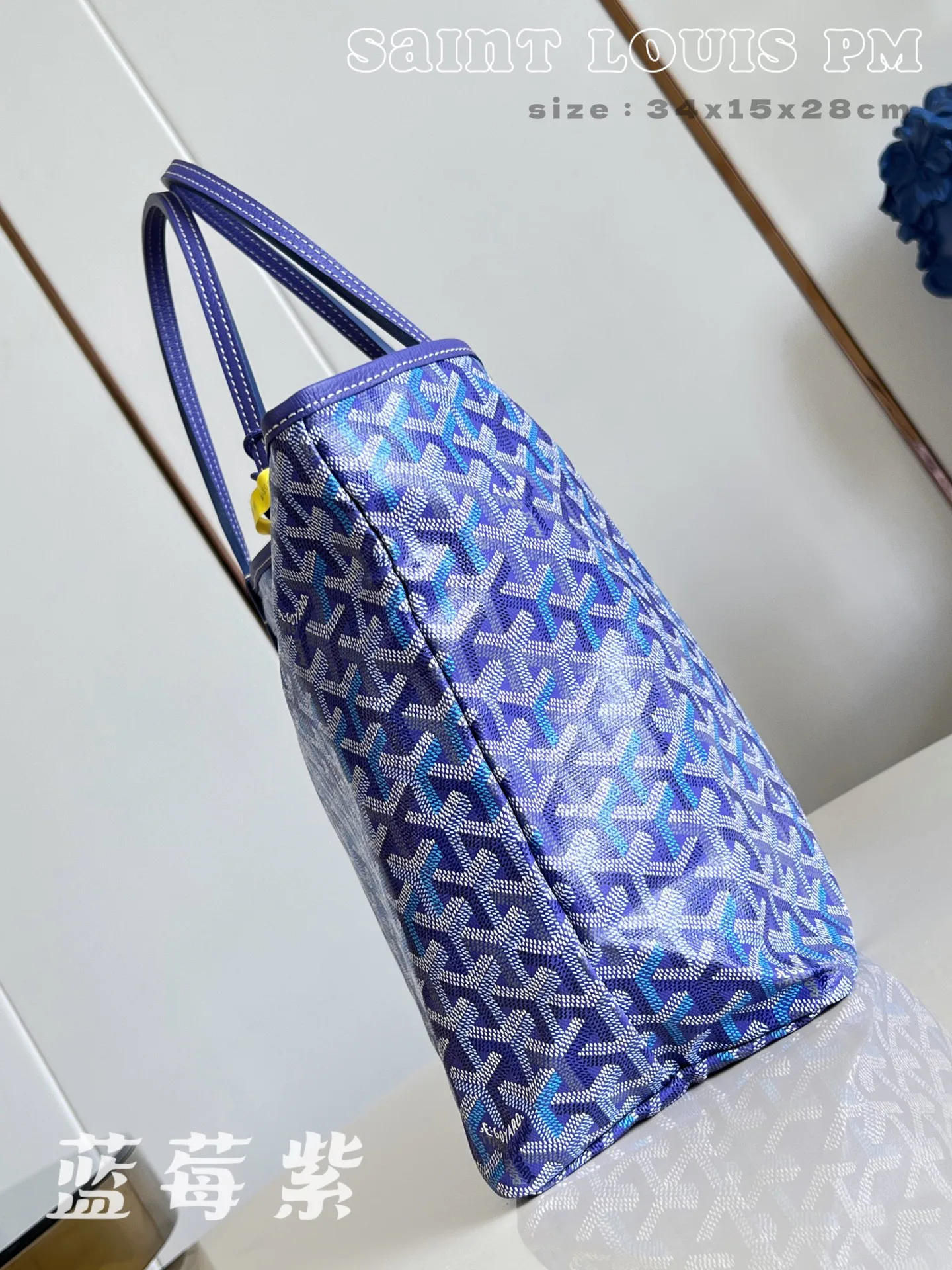 Women's Classic Handbags GOYARD 18278208