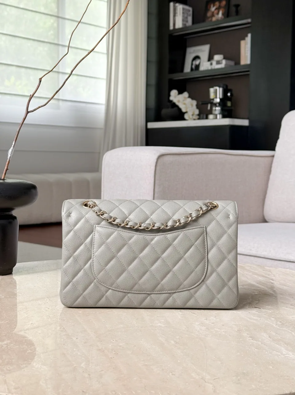 Women's Classic Handbags CHANEL 17435994