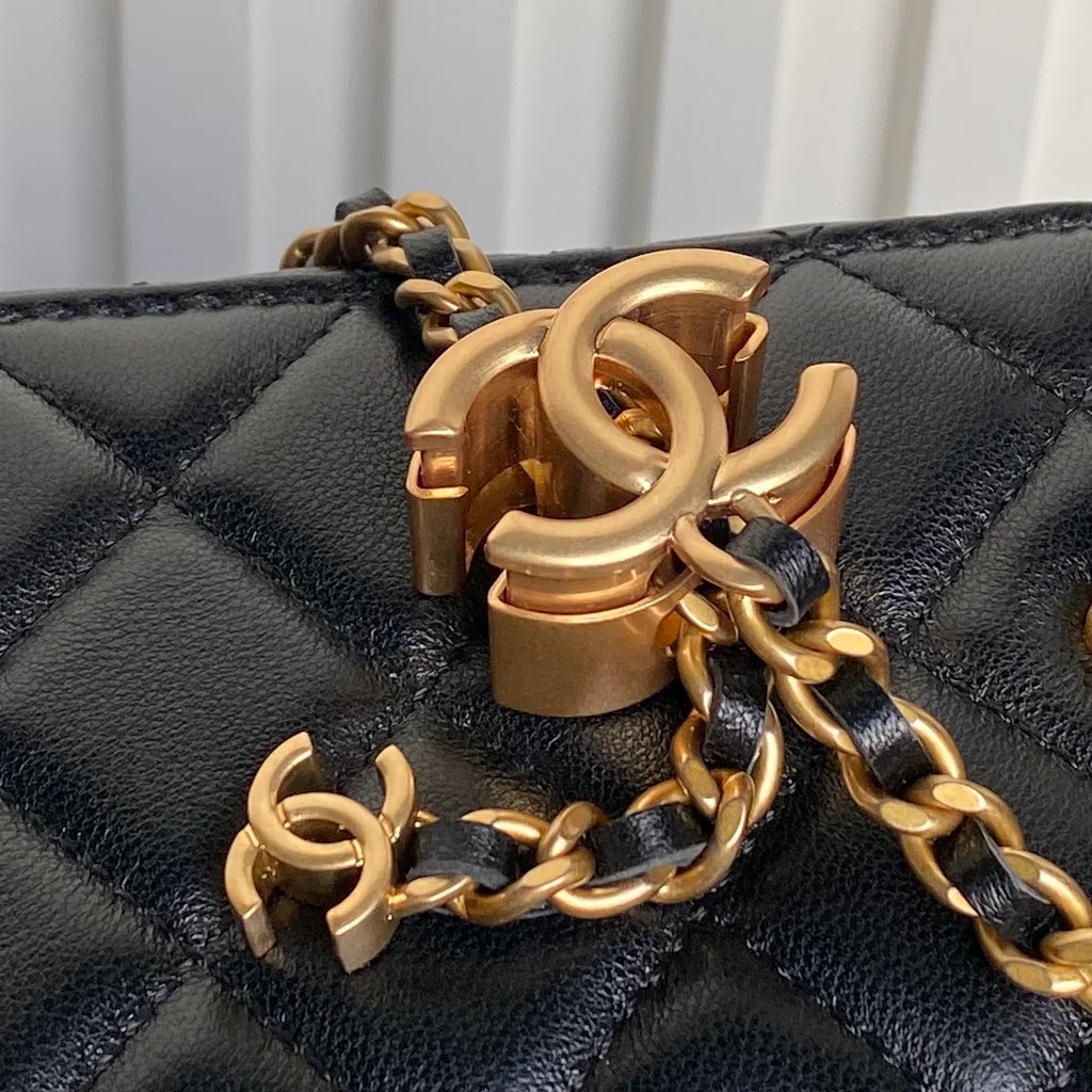 Women's Classic Handbags CHANEL 17364585