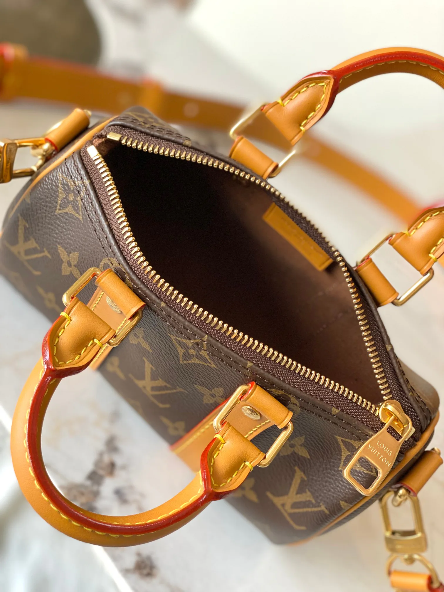 Women's Classic Handbags LOUIS VUITTON 18521084