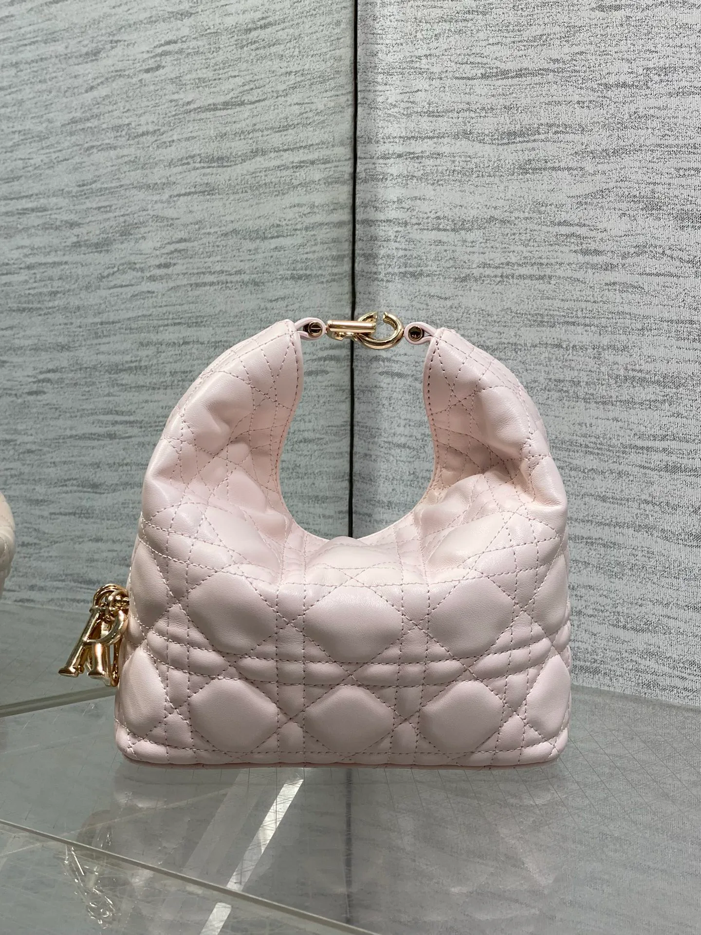 Women's Classic Handbags CHRISTIAN DIOR 17830931