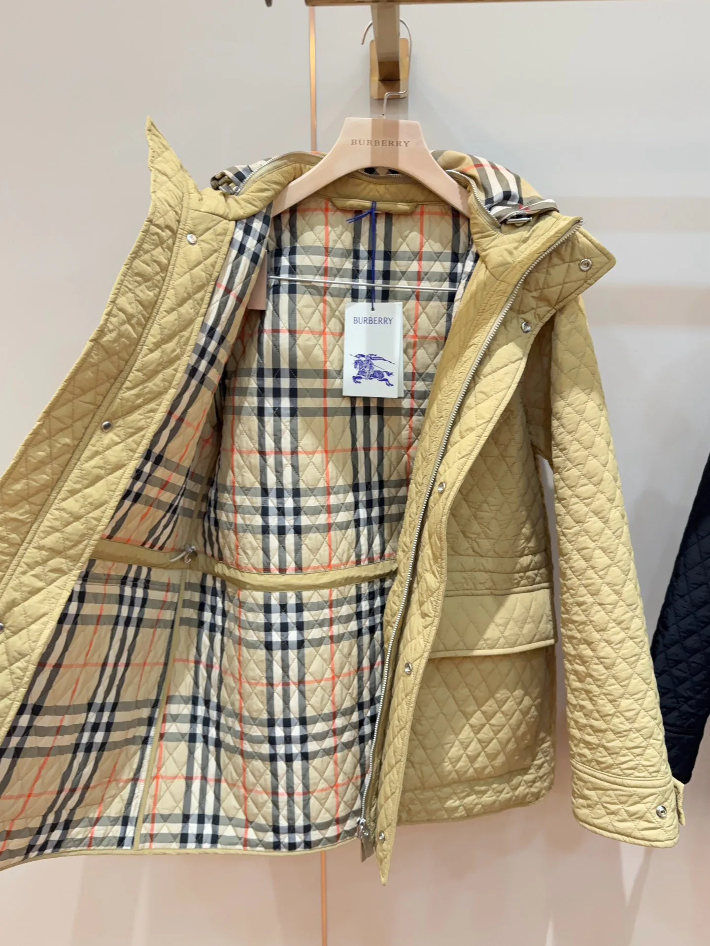 Women's Jackets And Down Jackets BURBERRY 18206340