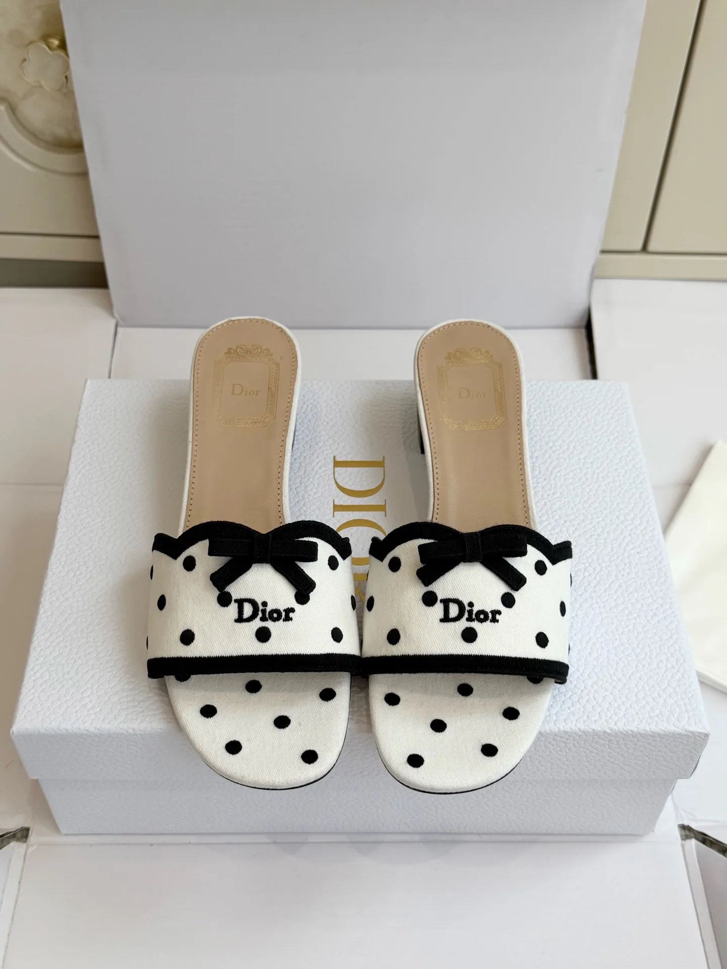 Women's Mules And Clogs CHRISTIAN DIOR 18261113