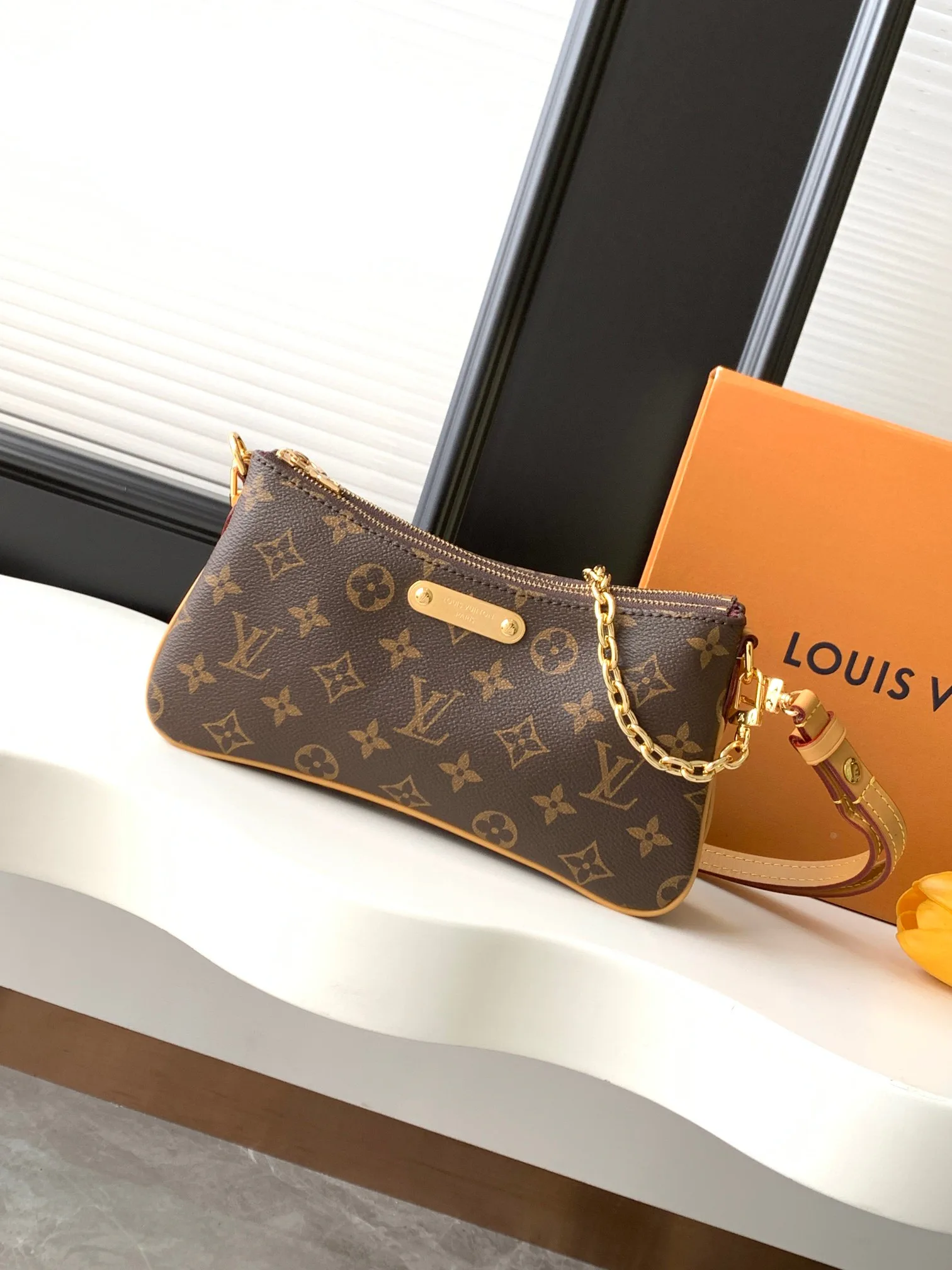 Women's Classic Handbags LOUIS VUITTON 18153209