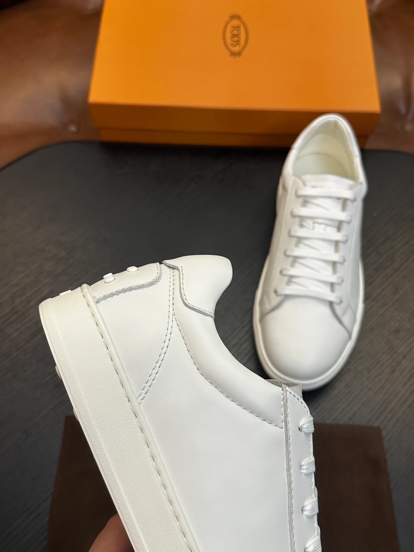 Men's Sneakers TOD'S 17733029