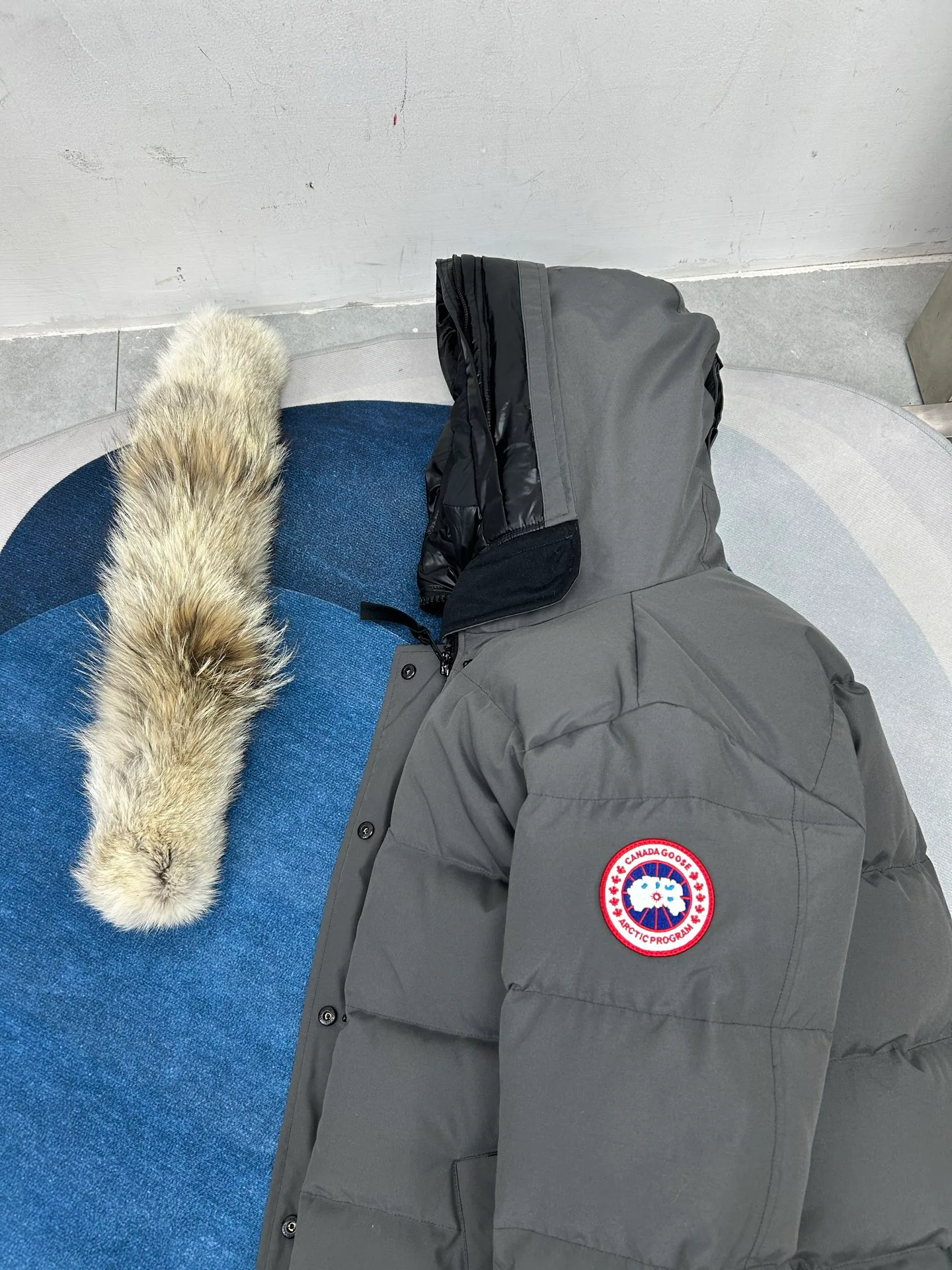 Women's Jackets And Down Jackets CANADA GOOSE 18188605
