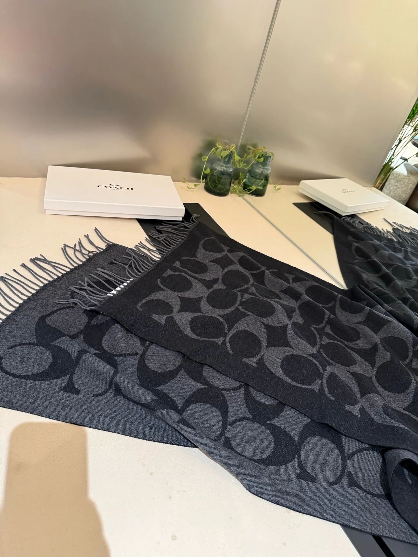 Scarves COACH 17926364
