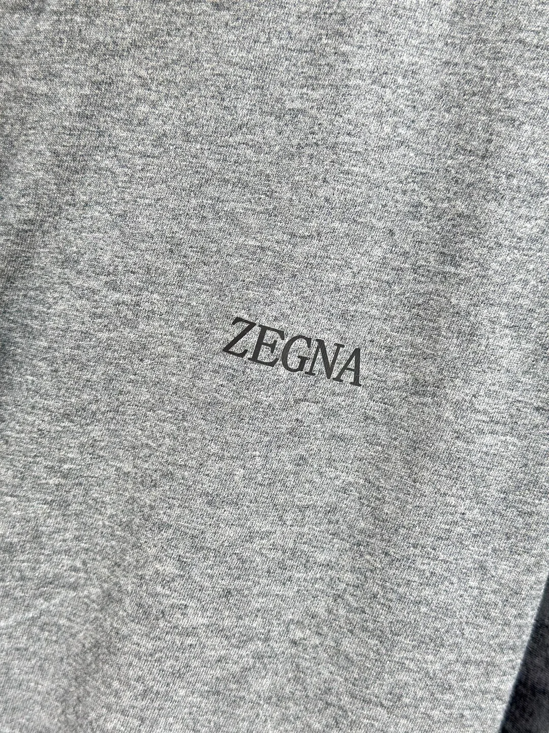 Men's Jackets And Down Jackets ZEGNA 18295966