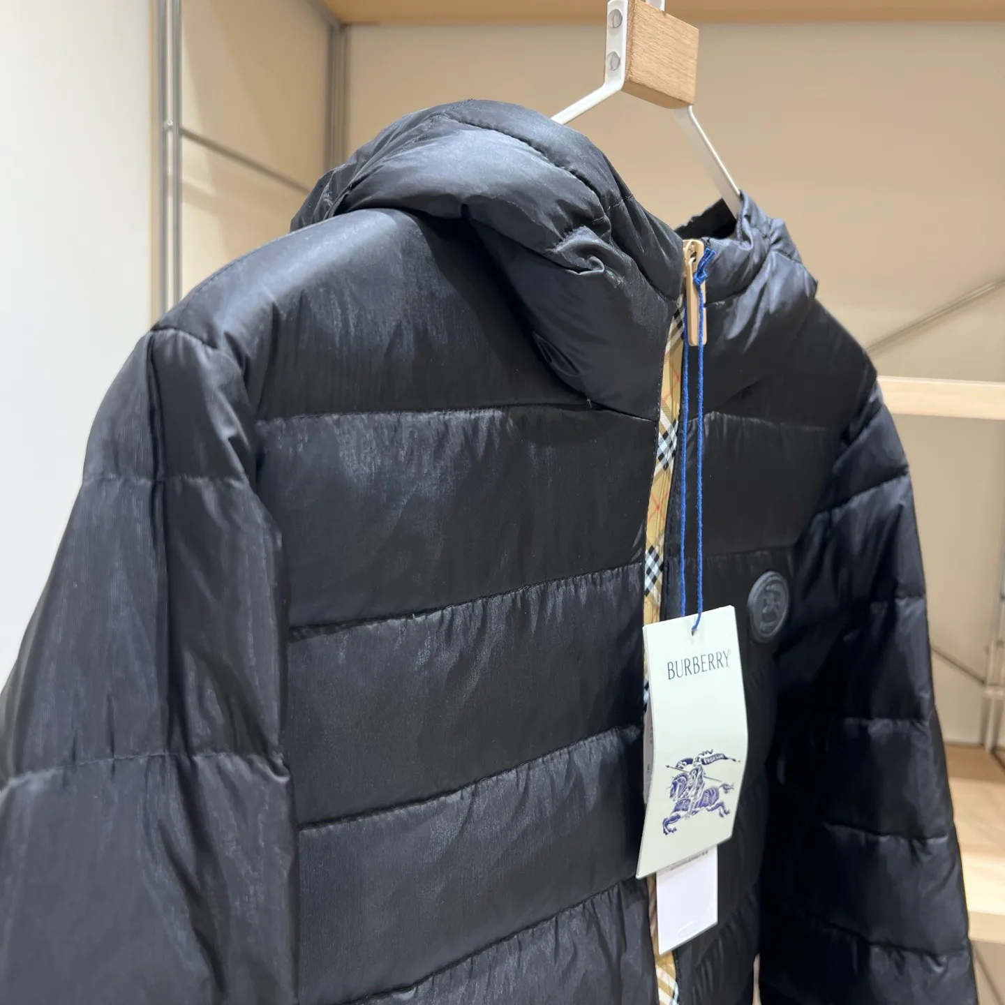 Women's Jackets And Down Jackets BURBERRY 18110899