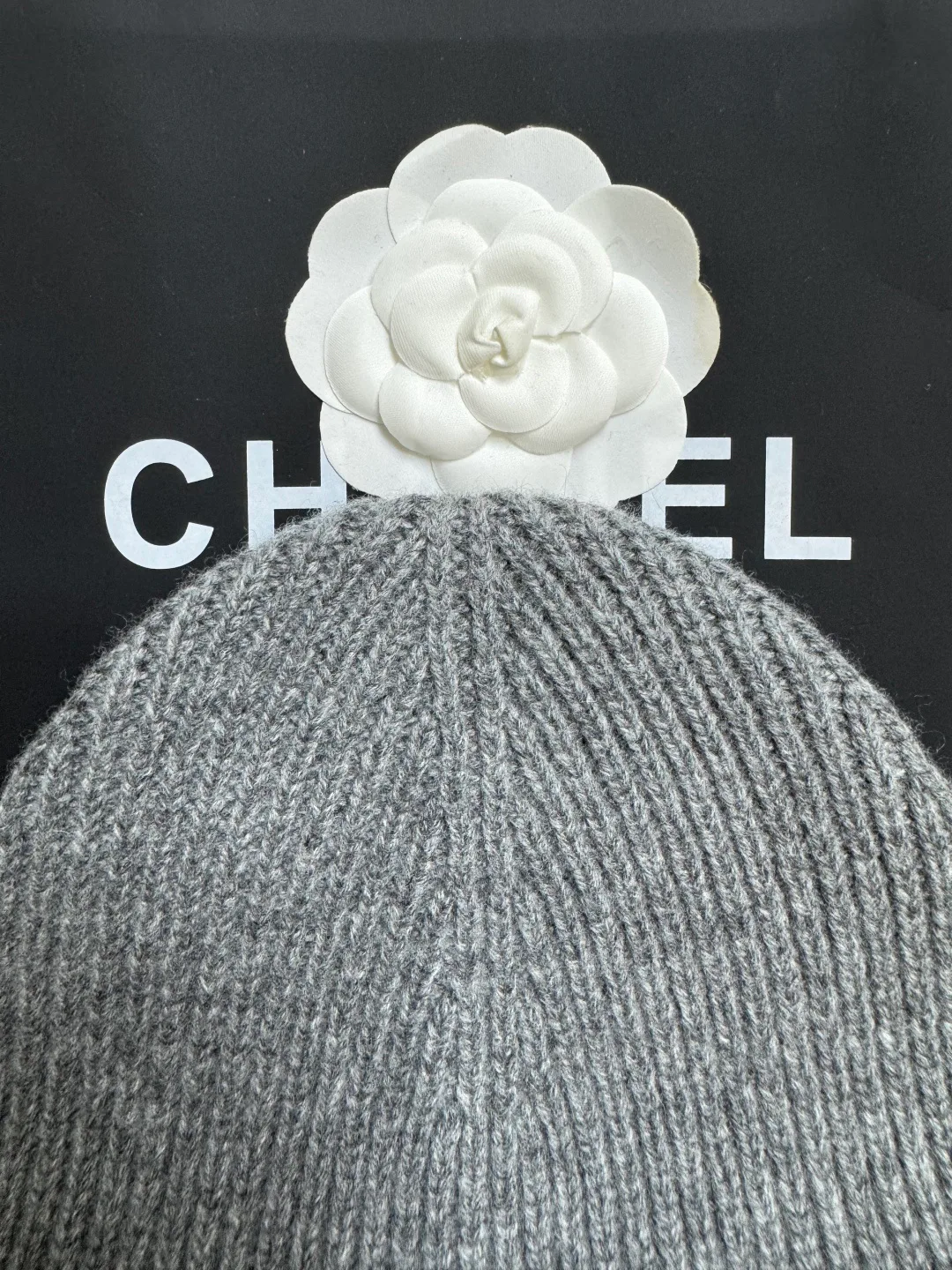 Hats CHANEL 17727816