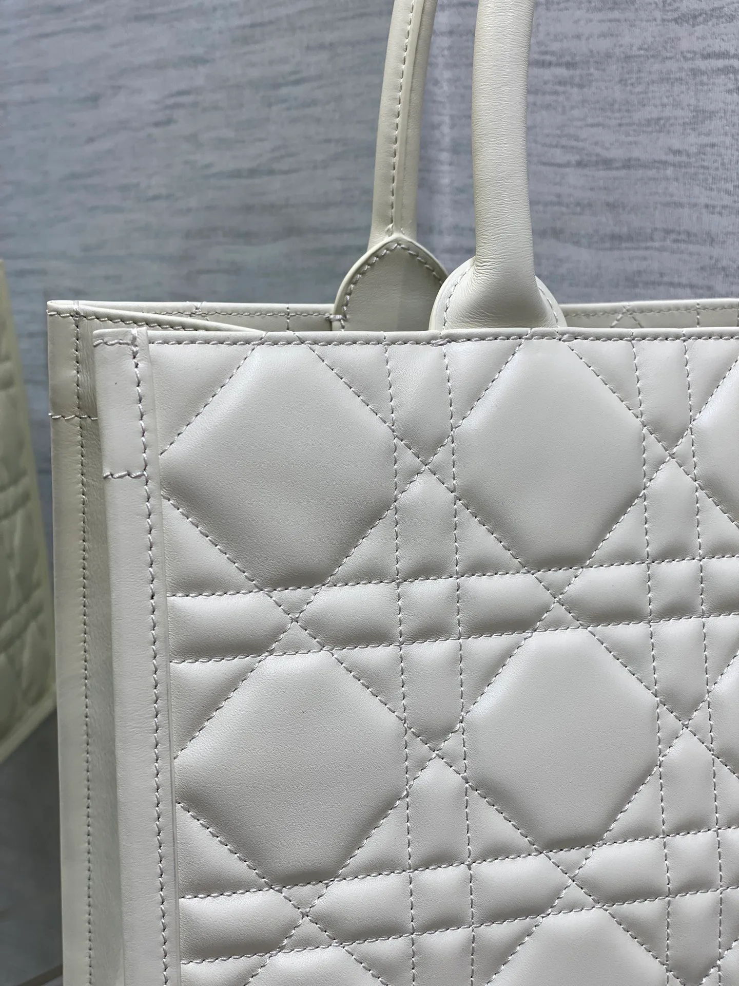 Women's Classic Handbags CHRISTIAN DIOR 17601402