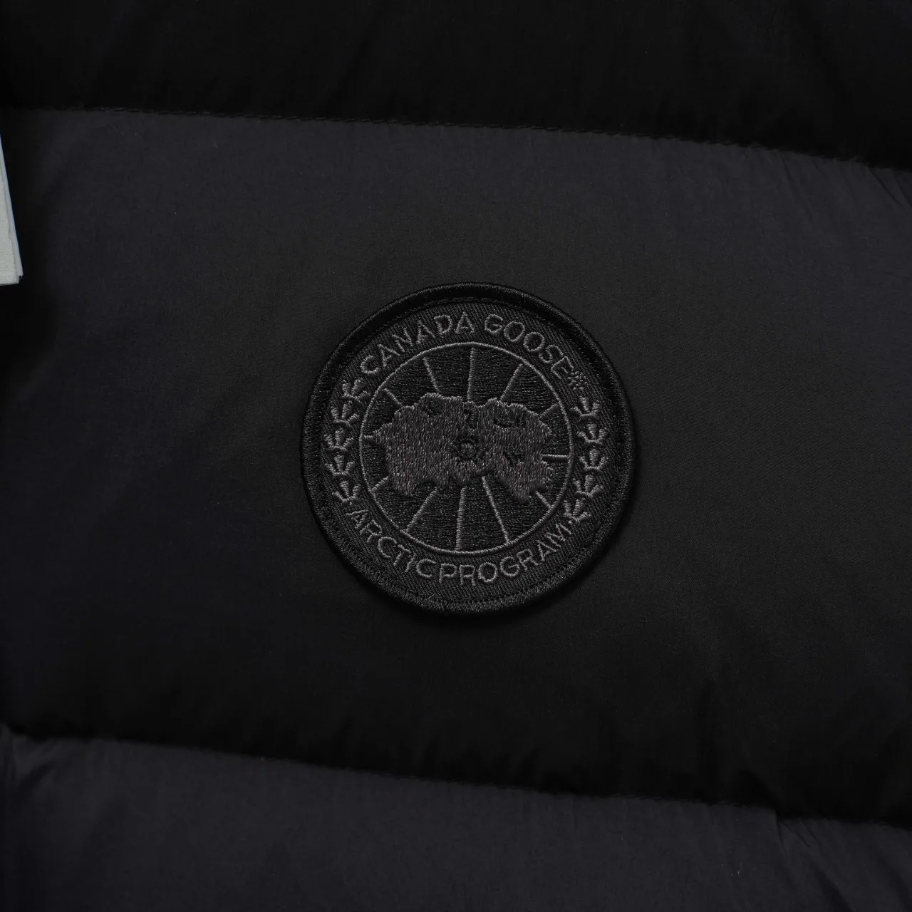 Men's Jackets And Down Jackets CANADA GOOSE 18492281