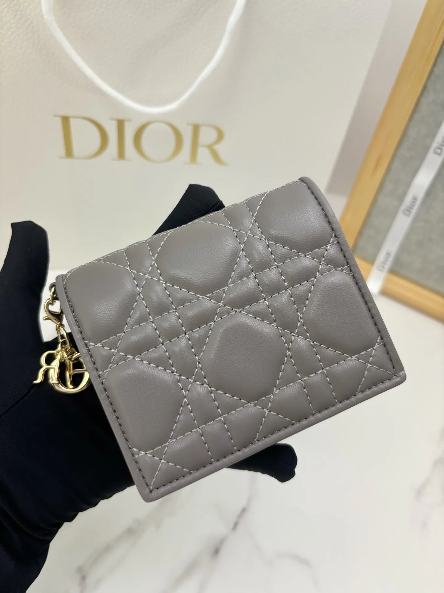 Women's Clutches CHRISTIAN DIOR 17204375