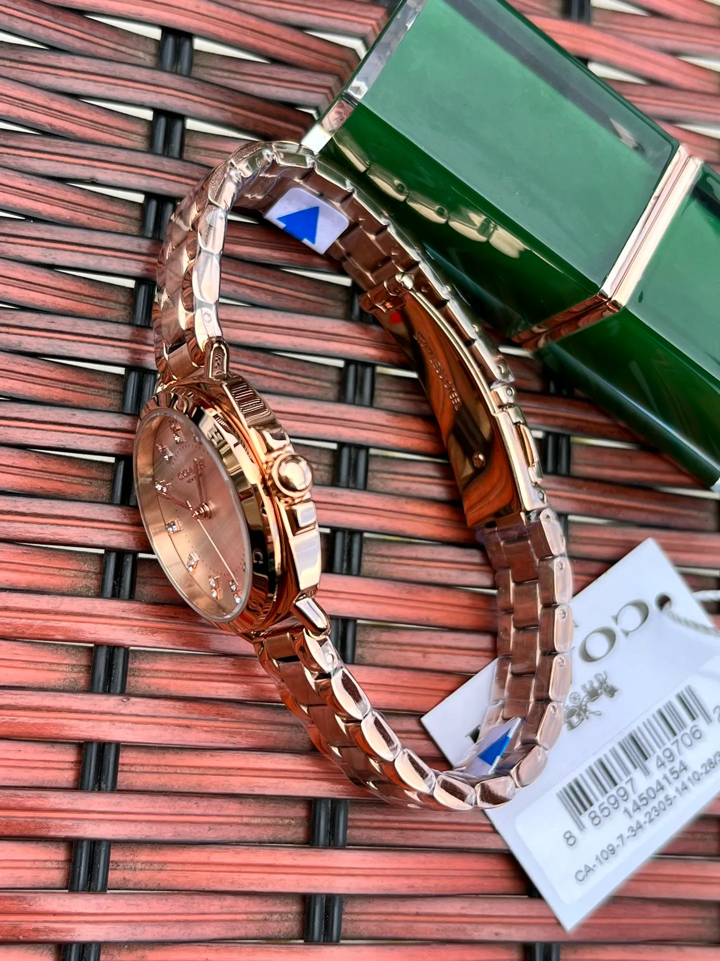 Women's Watches COACH 17873077