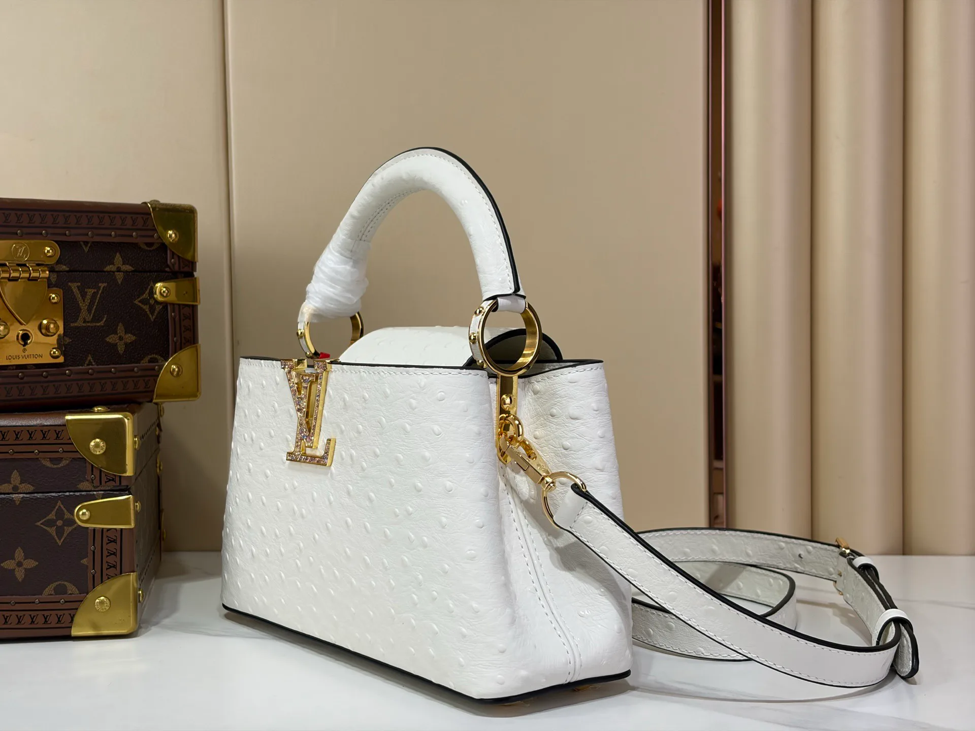 Women's Classic Handbags LOUIS VUITTON 18491316