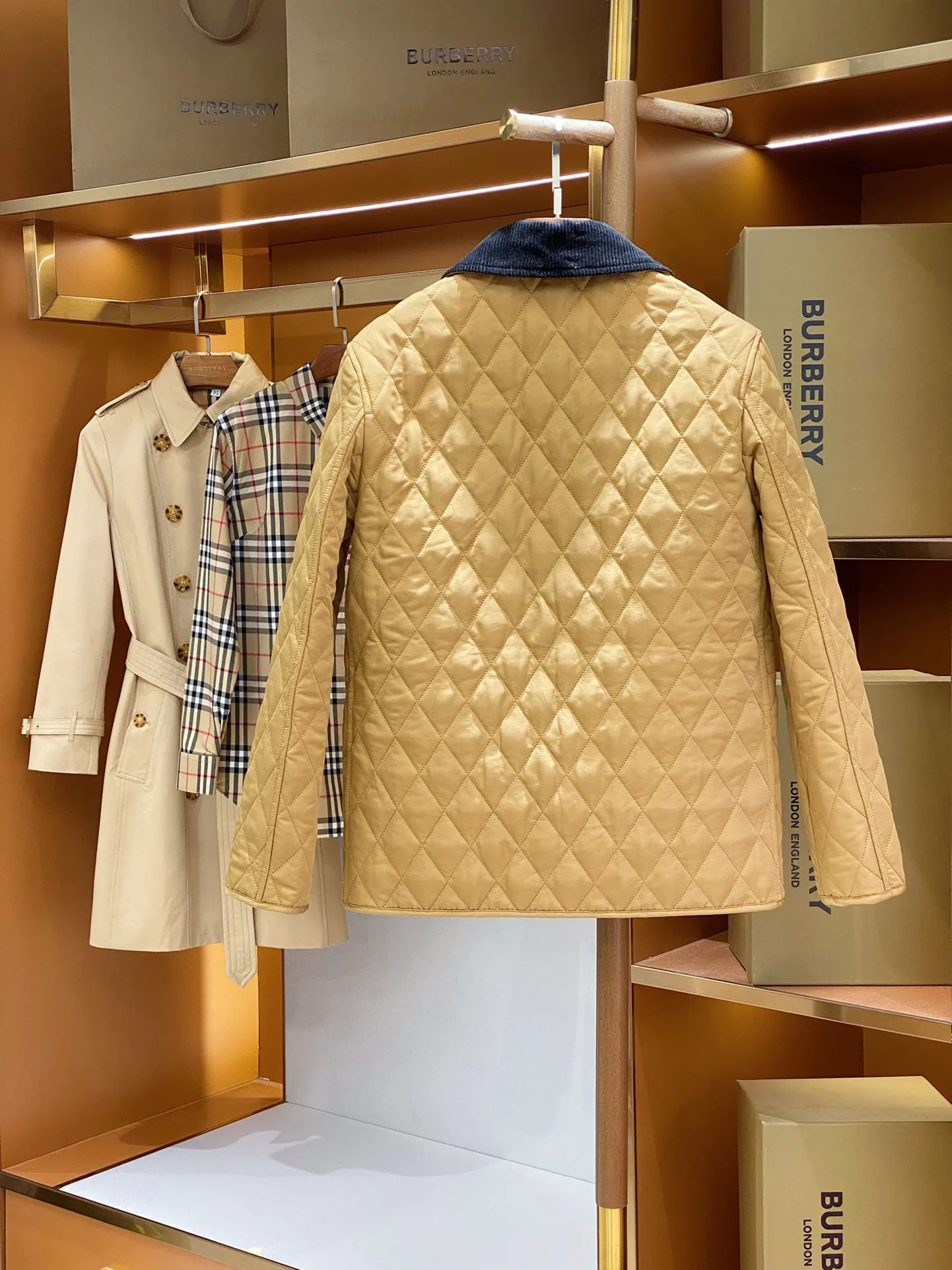 Women's Jackets And Down Jackets BURBERRY 18555682