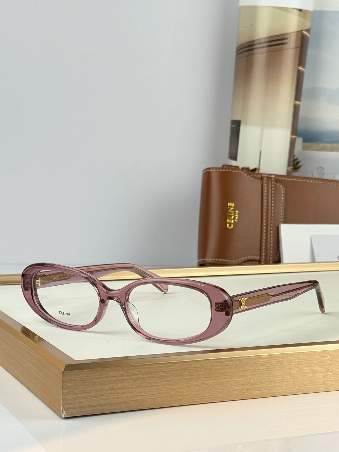 Glasses CELINE 17253105