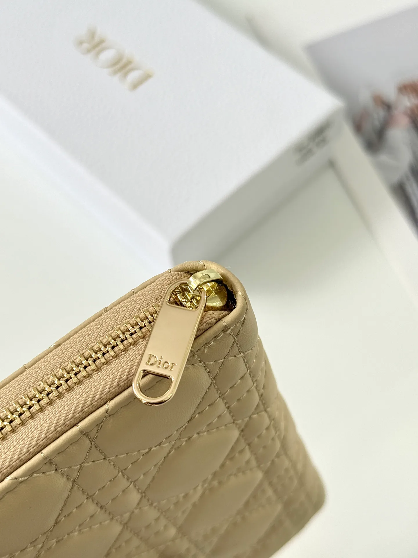 Women's Clutches CHRISTIAN DIOR 17447425