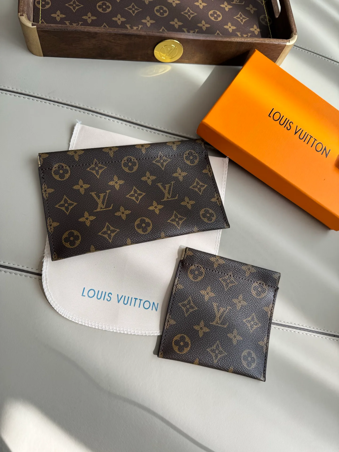 Women's Clutches LOUIS VUITTON 18429620