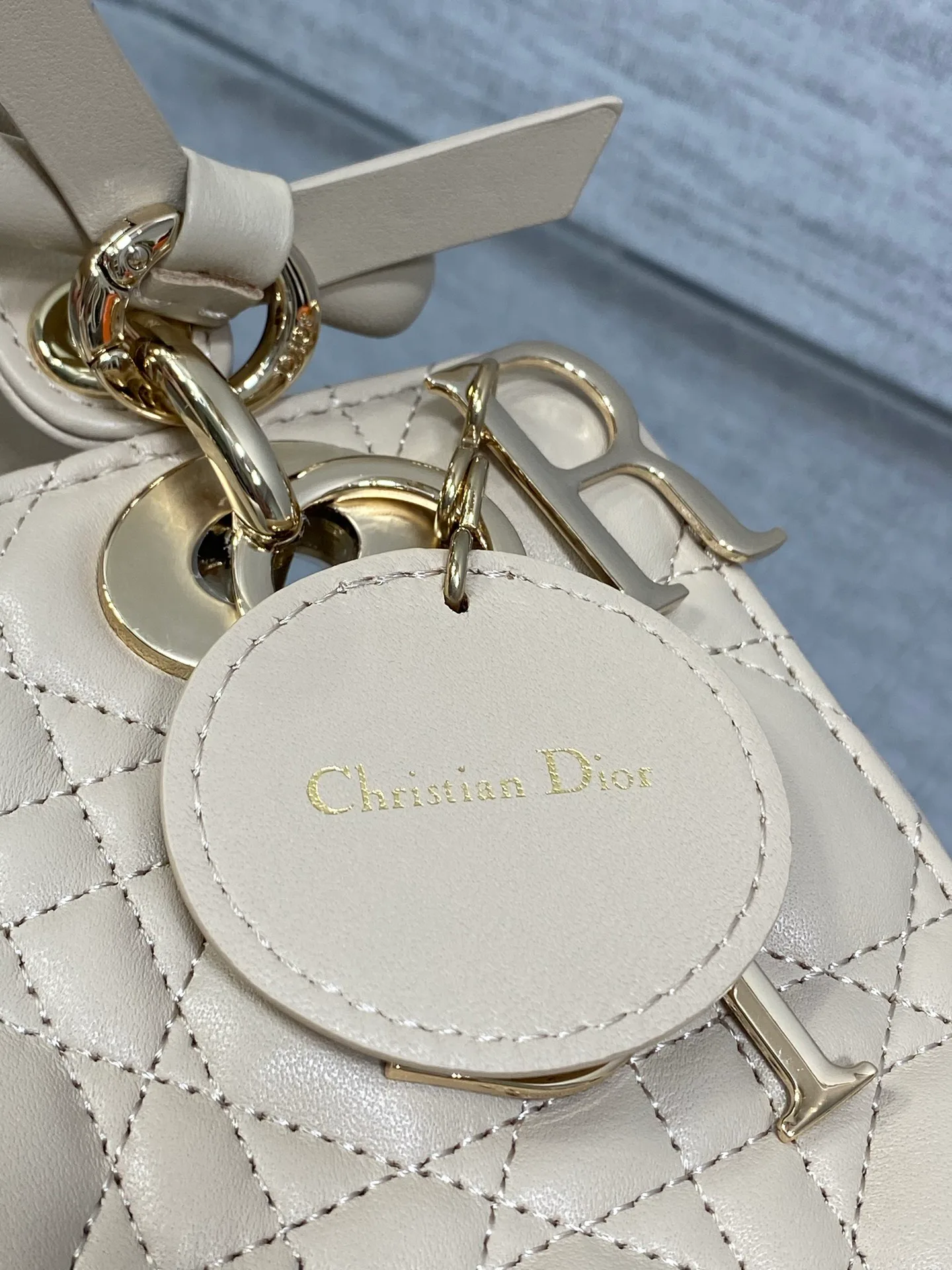 Women's Classic Handbags CHRISTIAN DIOR 17601503