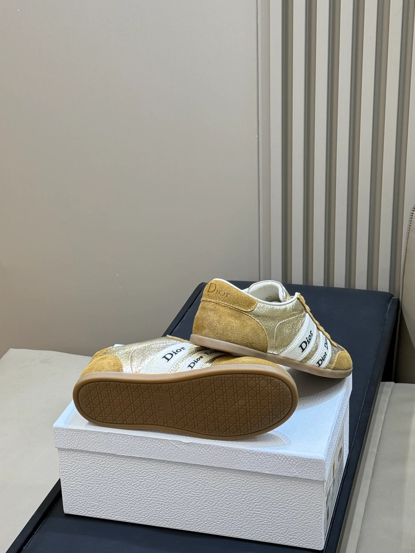 Women's Sneakers CHRISTIAN DIOR 18073066