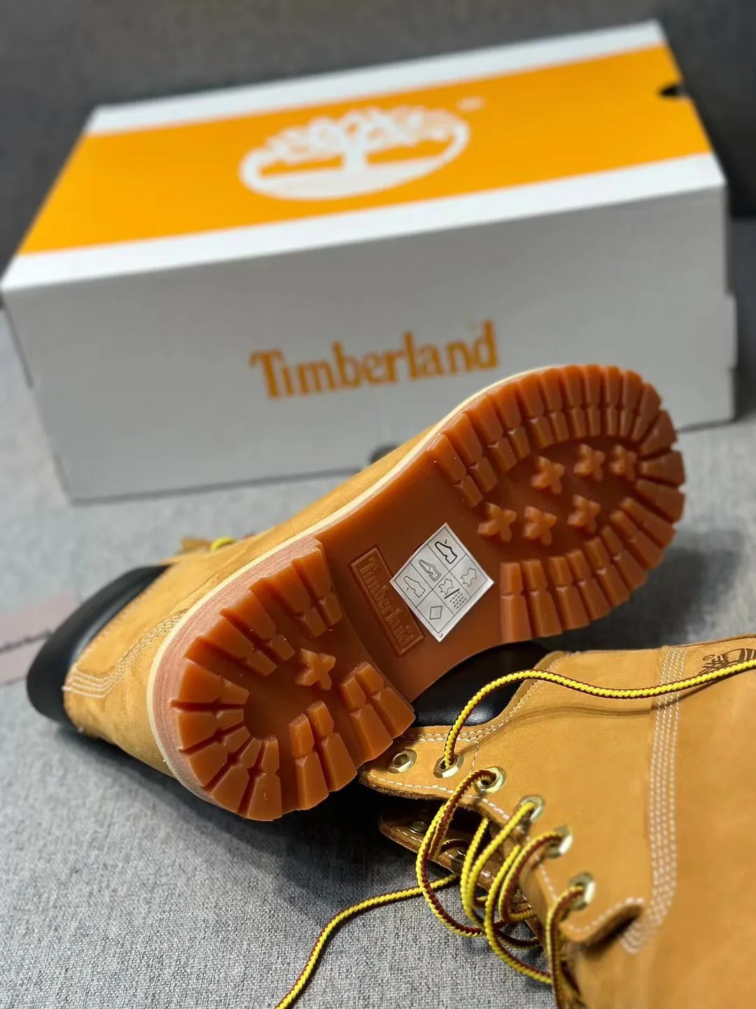Women's Ankle Boots TIMBERLAND 18072178