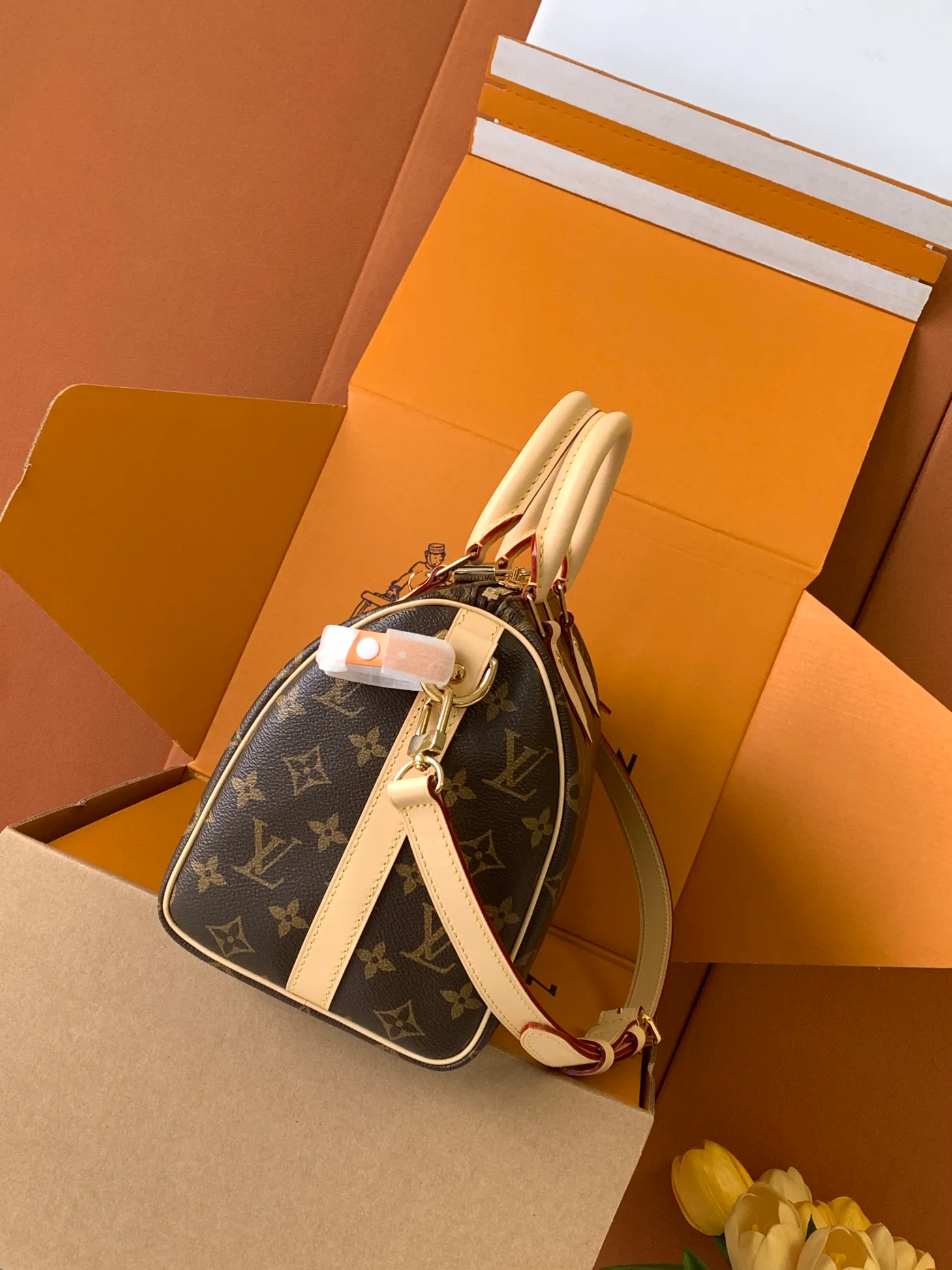 Women's Classic Handbags LOUIS VUITTON 18156568