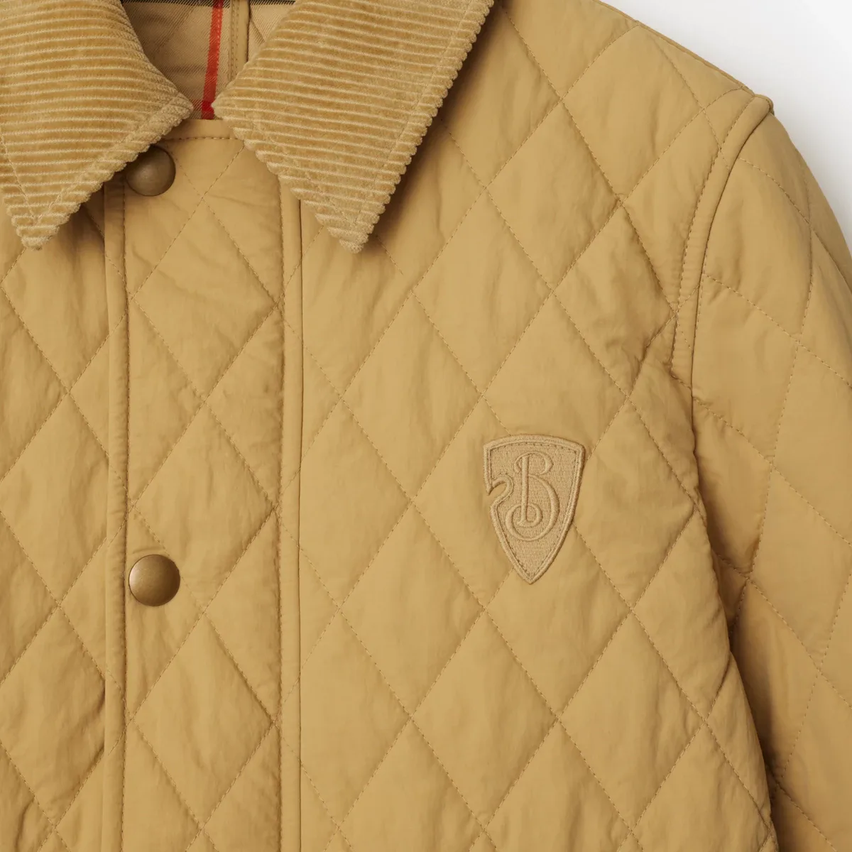 Women's Jackets And Down Jackets BURBERRY 17998527