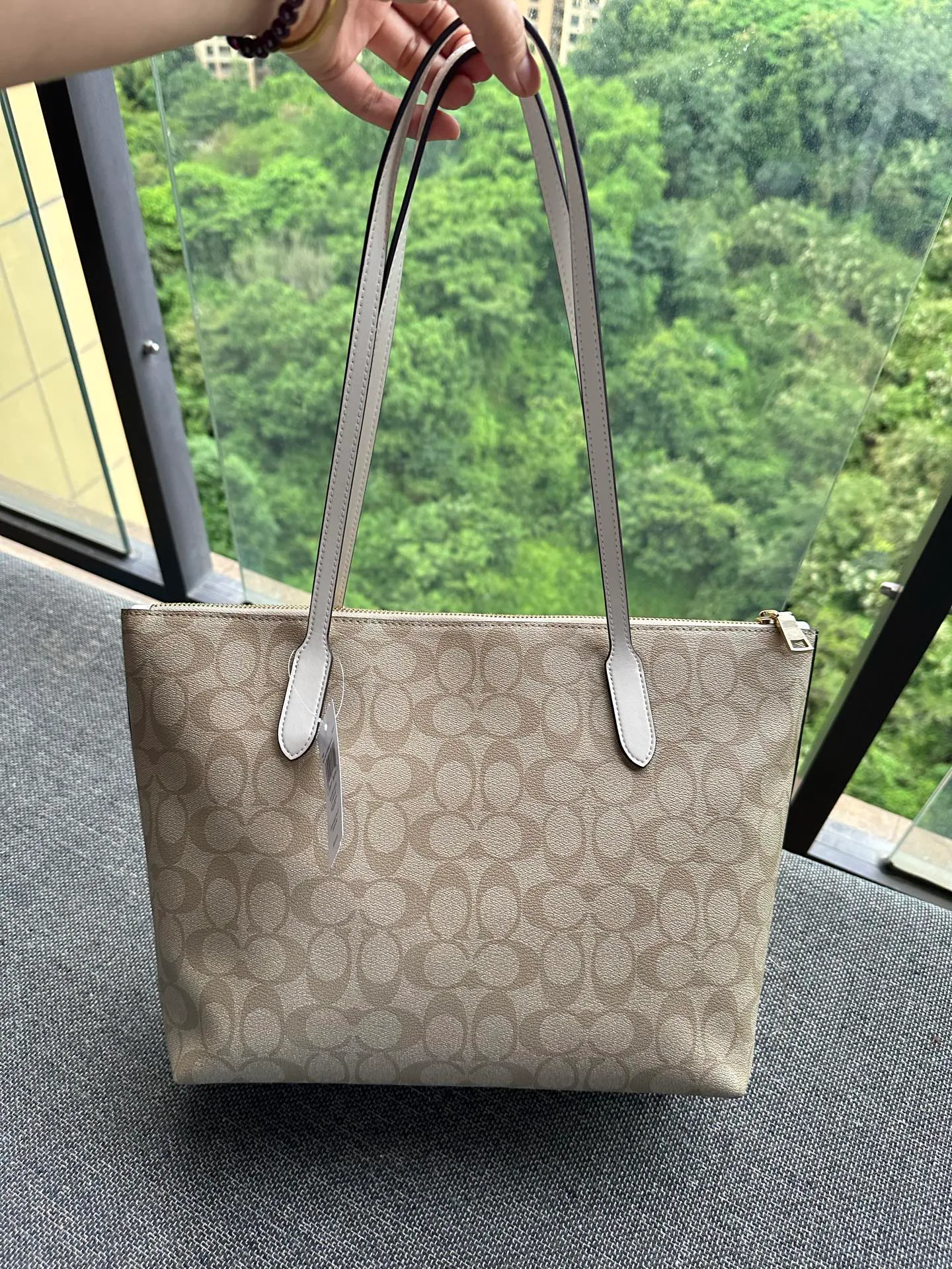 Women's Classic Handbags COACH 17961085